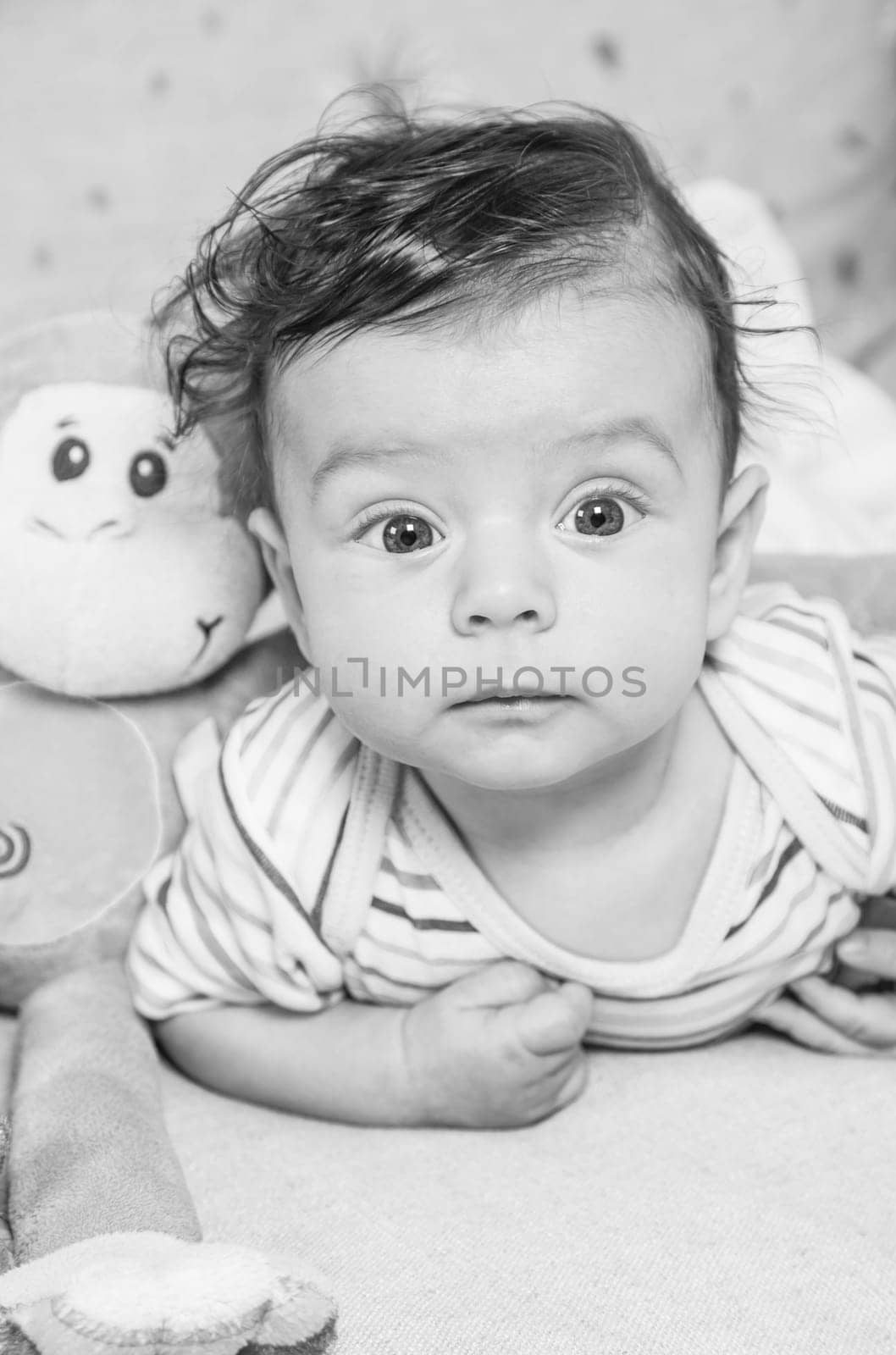 Portrait of an adorable smiling baby playing with a monkey toy.