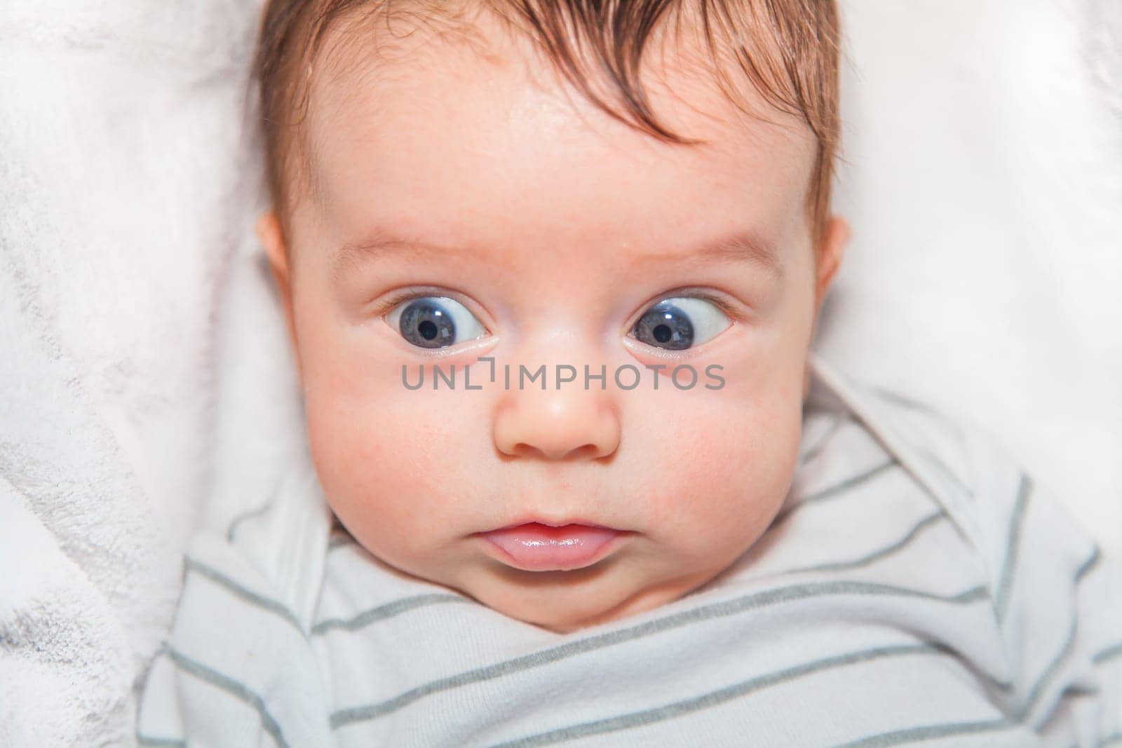 Baby boy of 2 months old at home on the sofa.