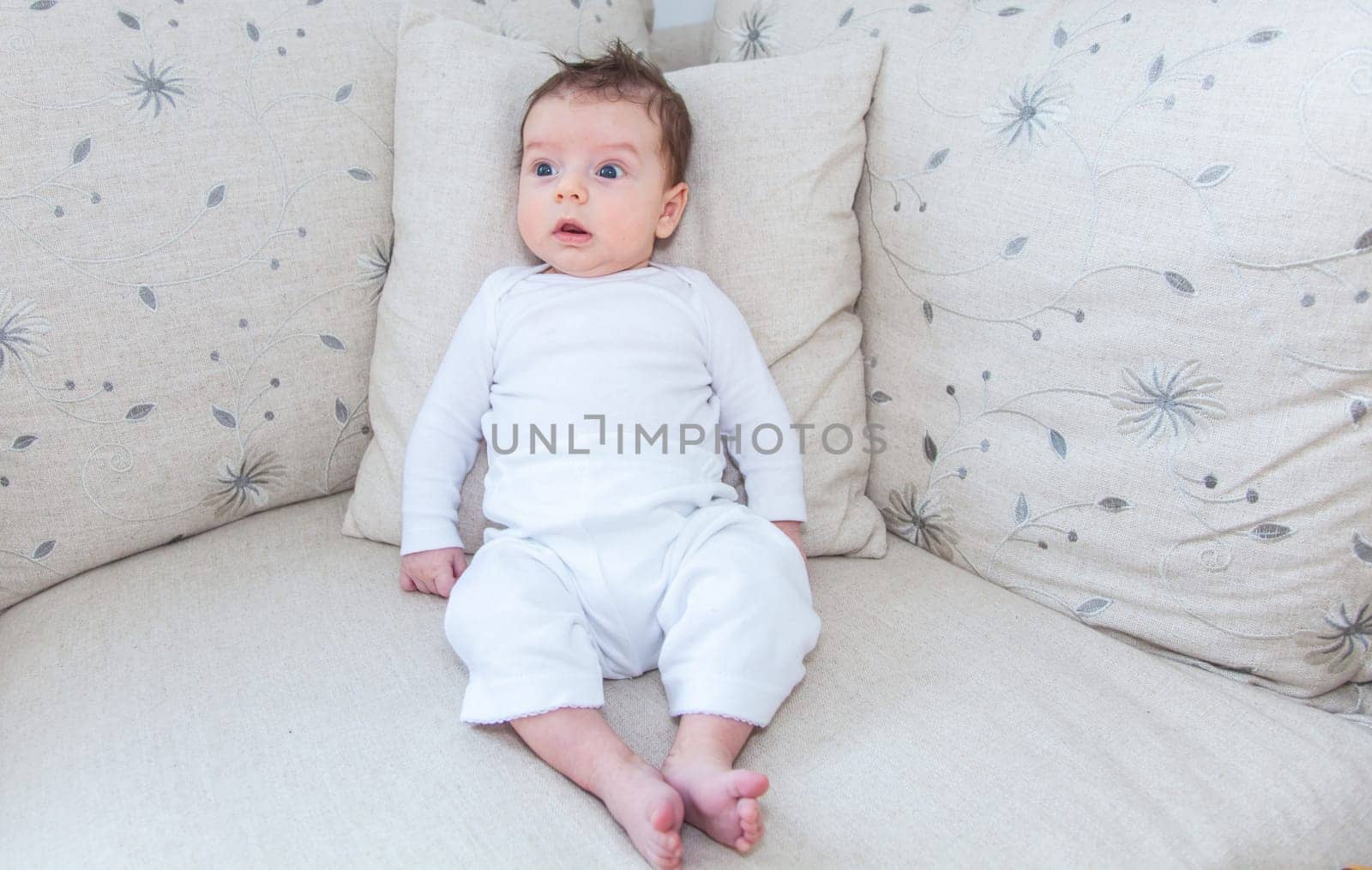 Baby boy of 2 months old at home on the sofa.