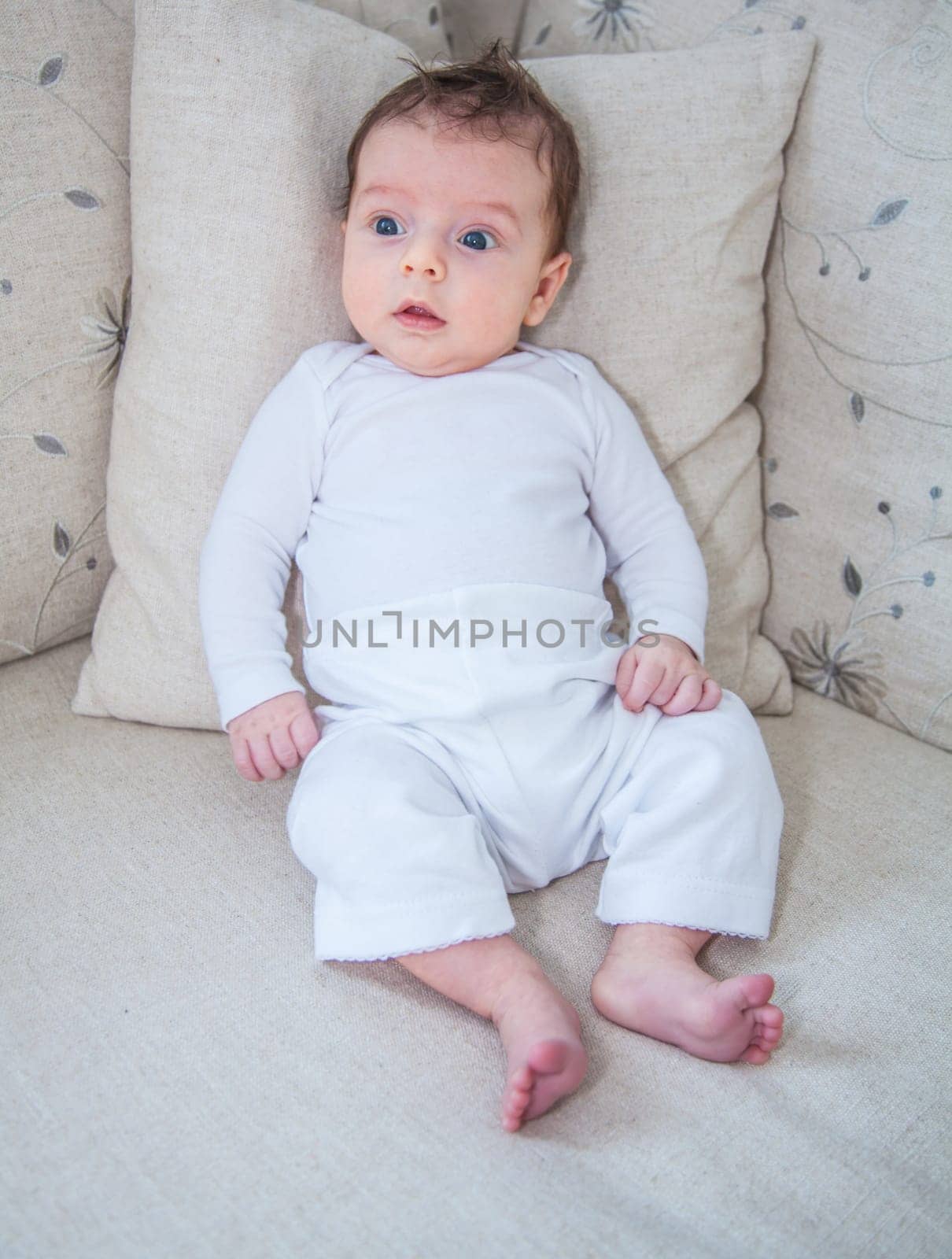 Baby boy of 2 months old at home on the sofa.