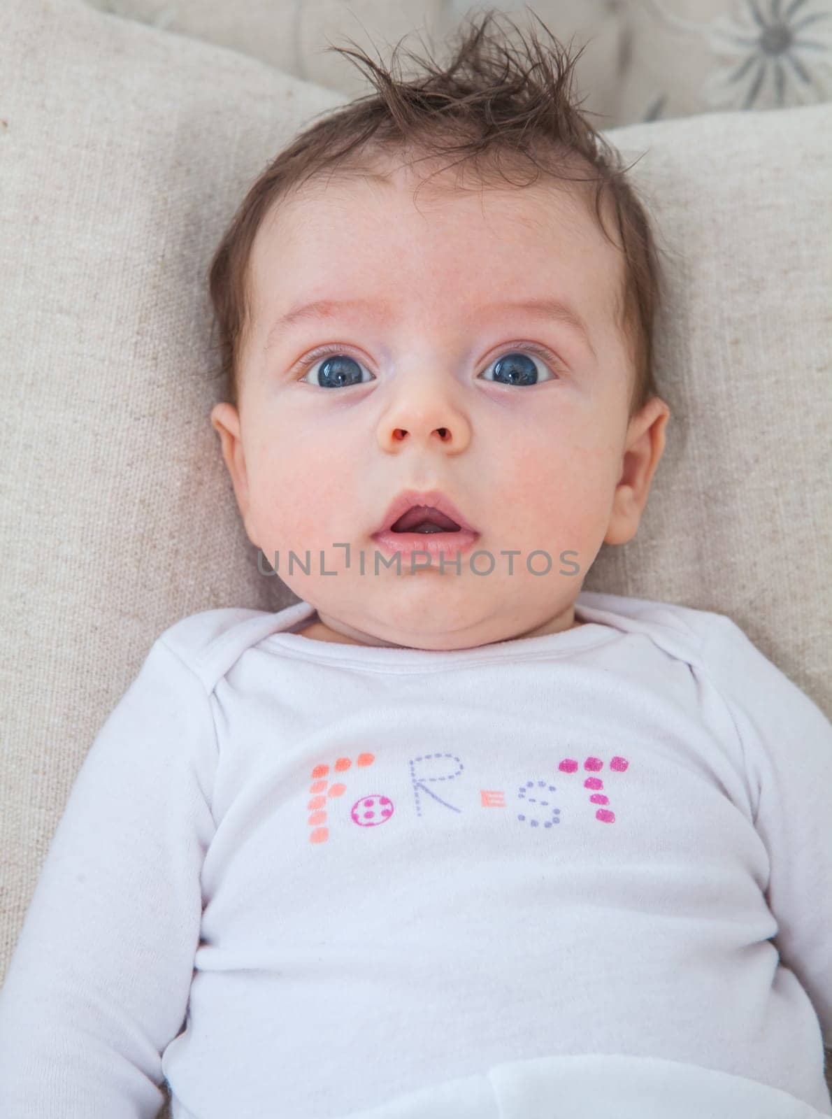 Baby boy of 2 months old at home on the sofa.