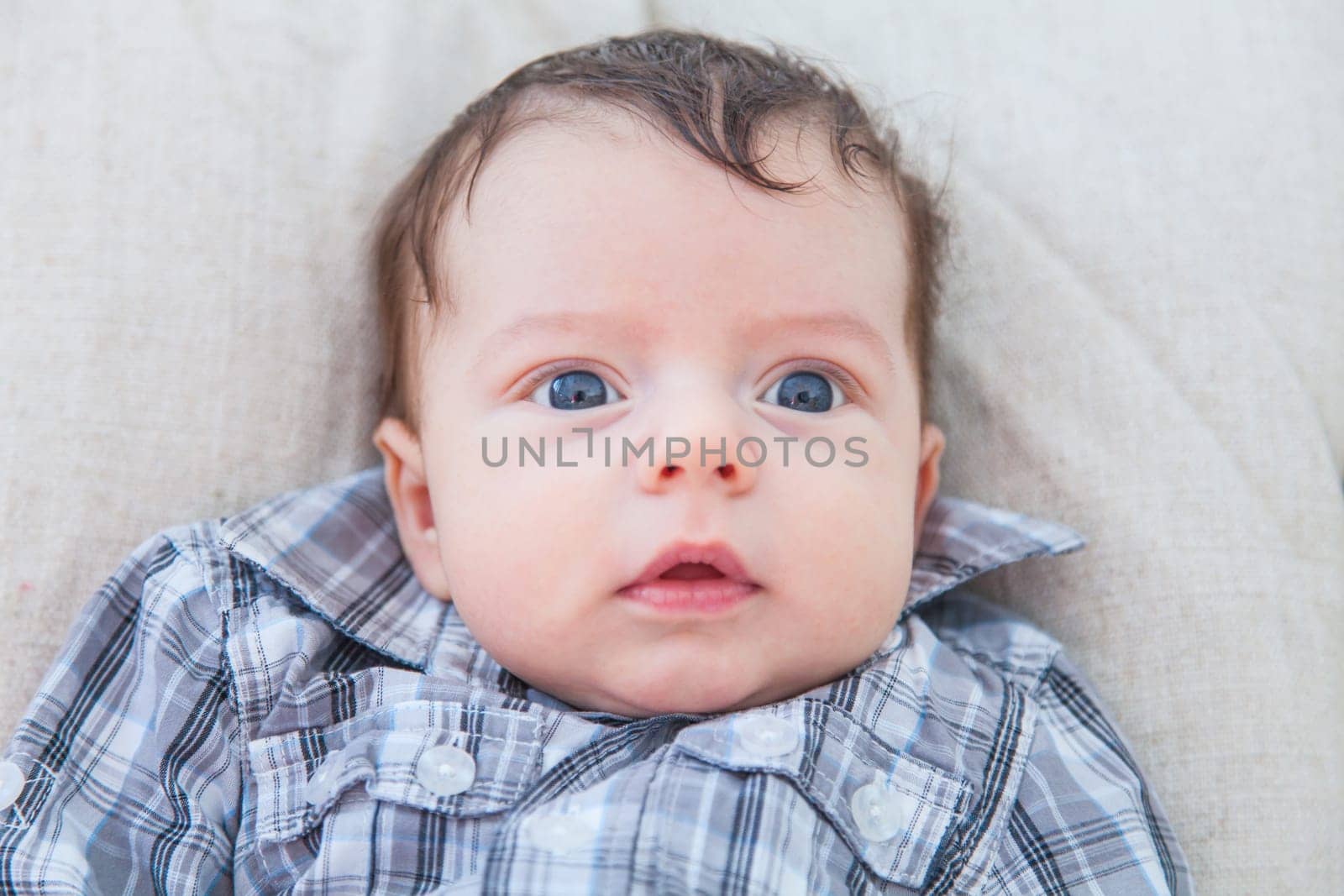 Portrait of a 2 months old baby boy at home.