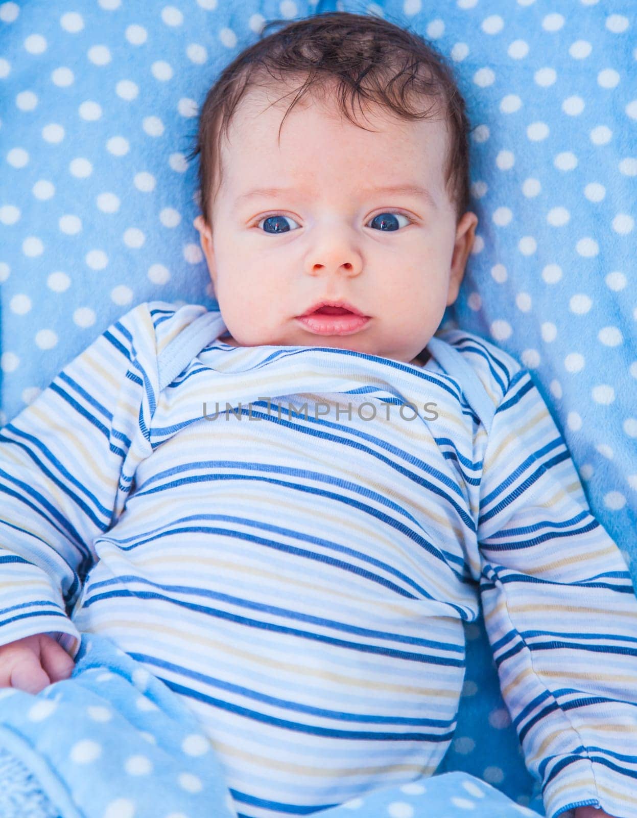 Portrait of a 2 months old baby boy at home.