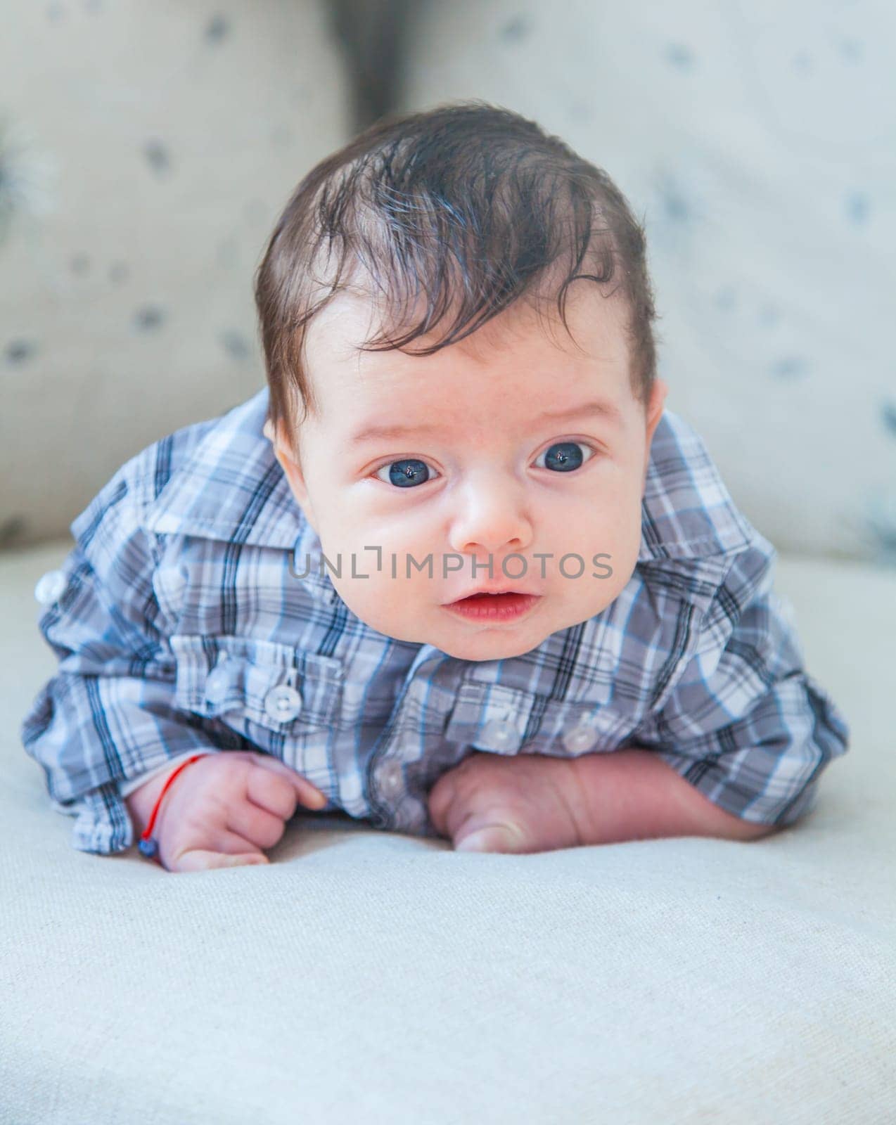 Portrait of a 2 months old baby boy at home.