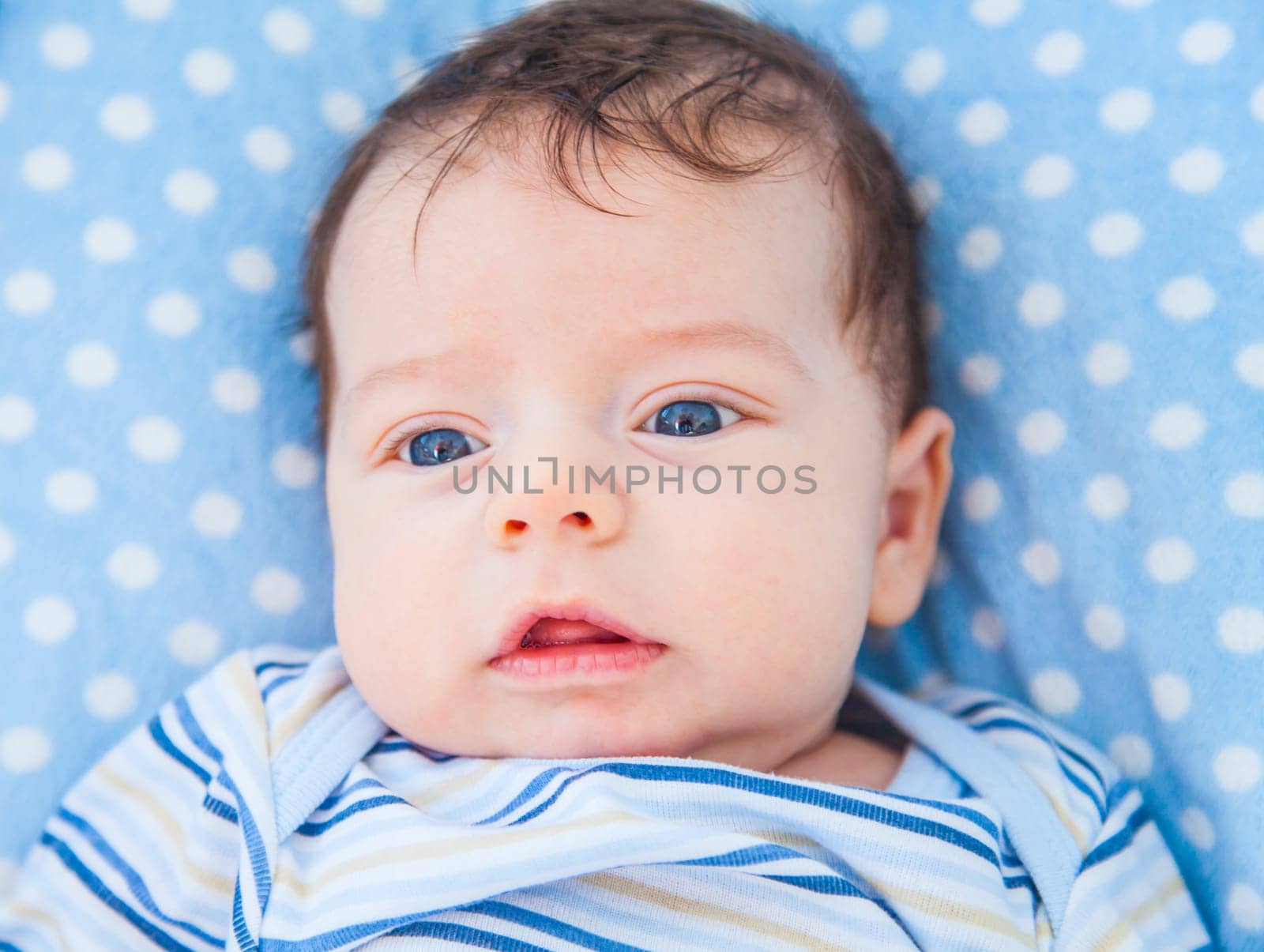 Portrait of a 2 months old baby boy at home.