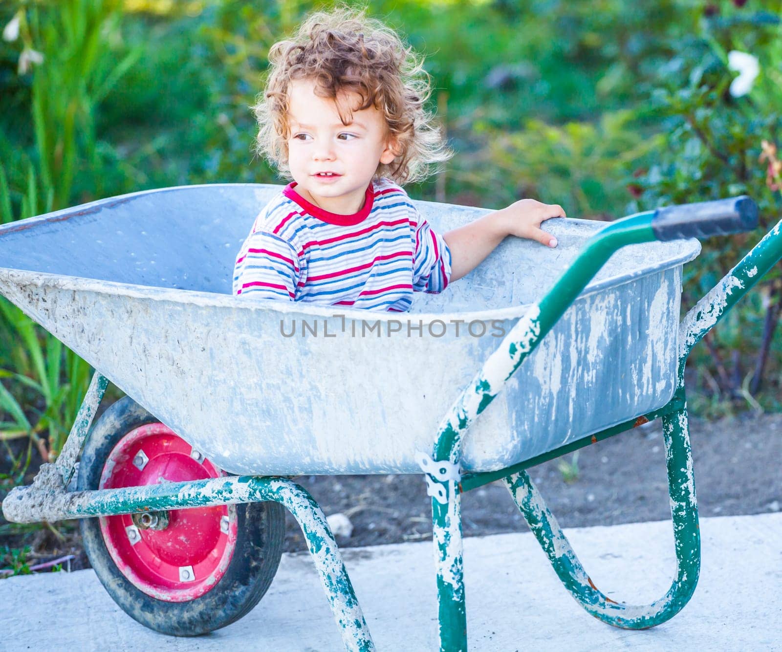 Portrait of 1 year old baby boy playing with a wheel barrow.