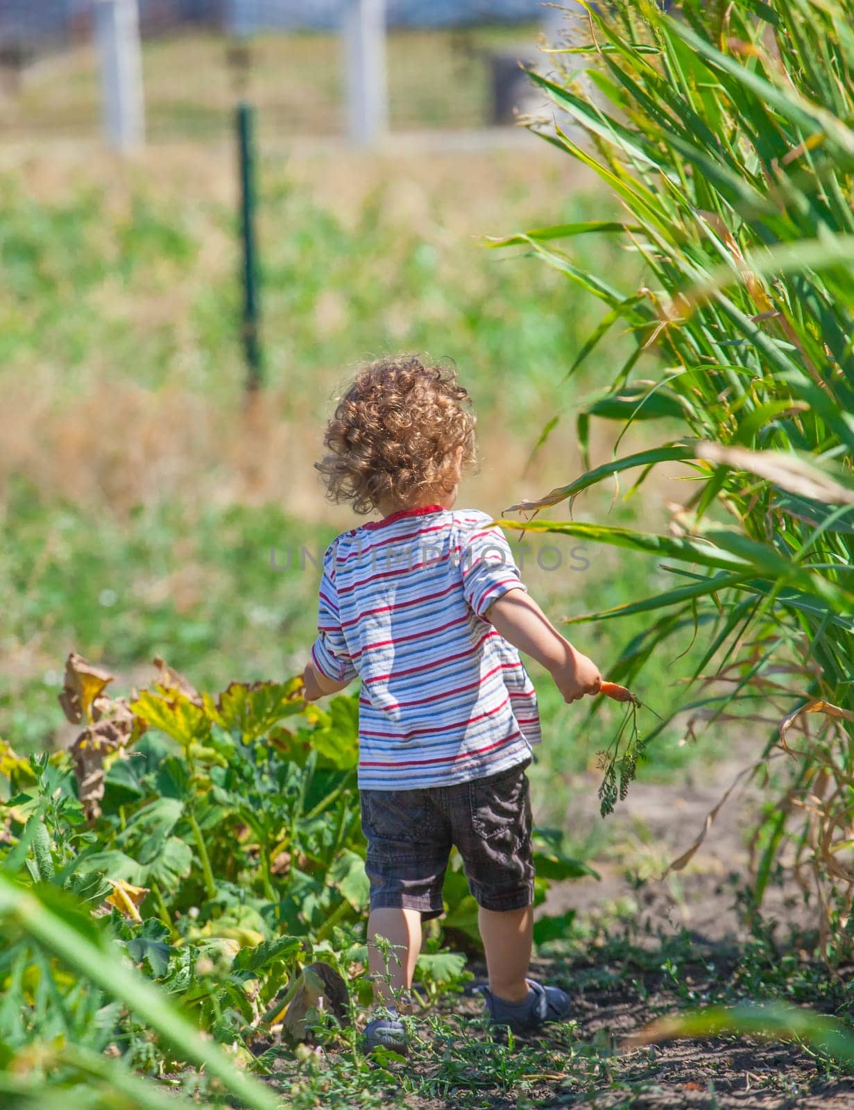 Portrait of 1 year old baby boy exploring the surroundings of his yard.