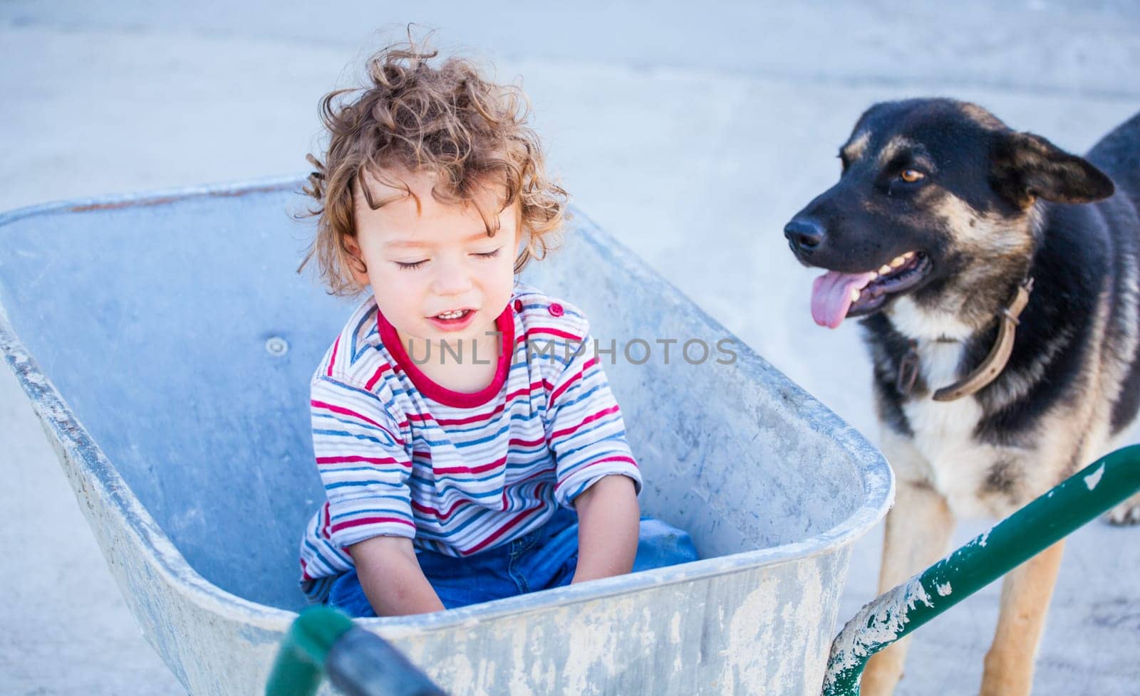 Portrait of 1 year old baby boy playing with a wheel barrow.