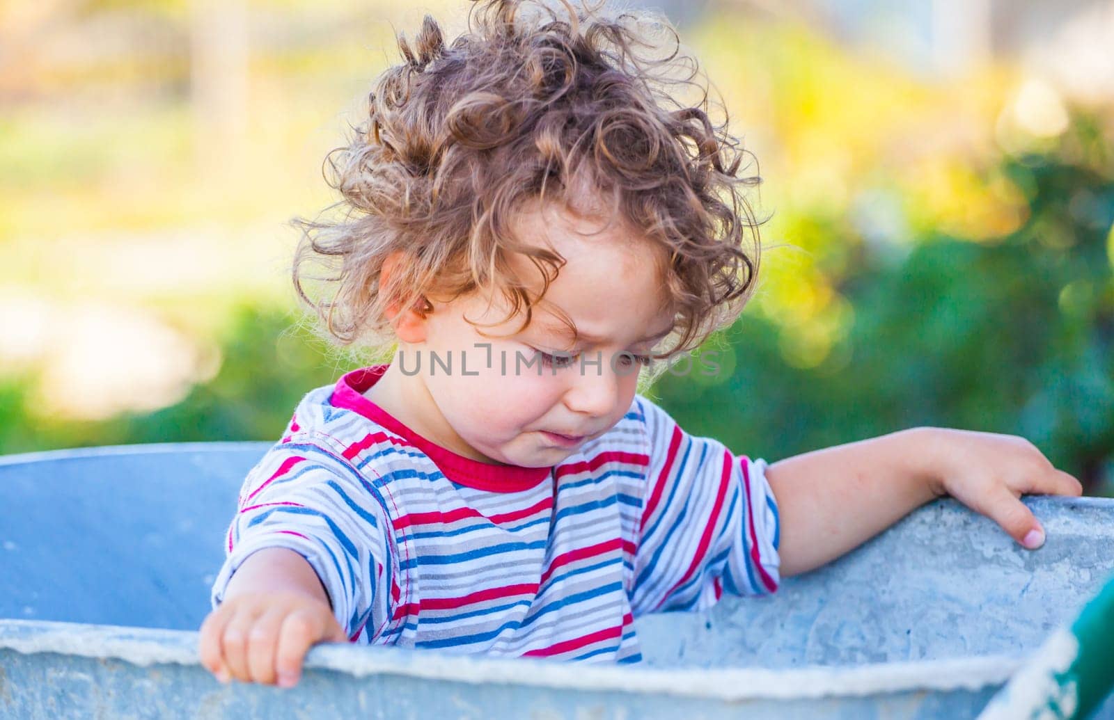 Portrait of 1 year old baby boy playing with a wheel barrow.