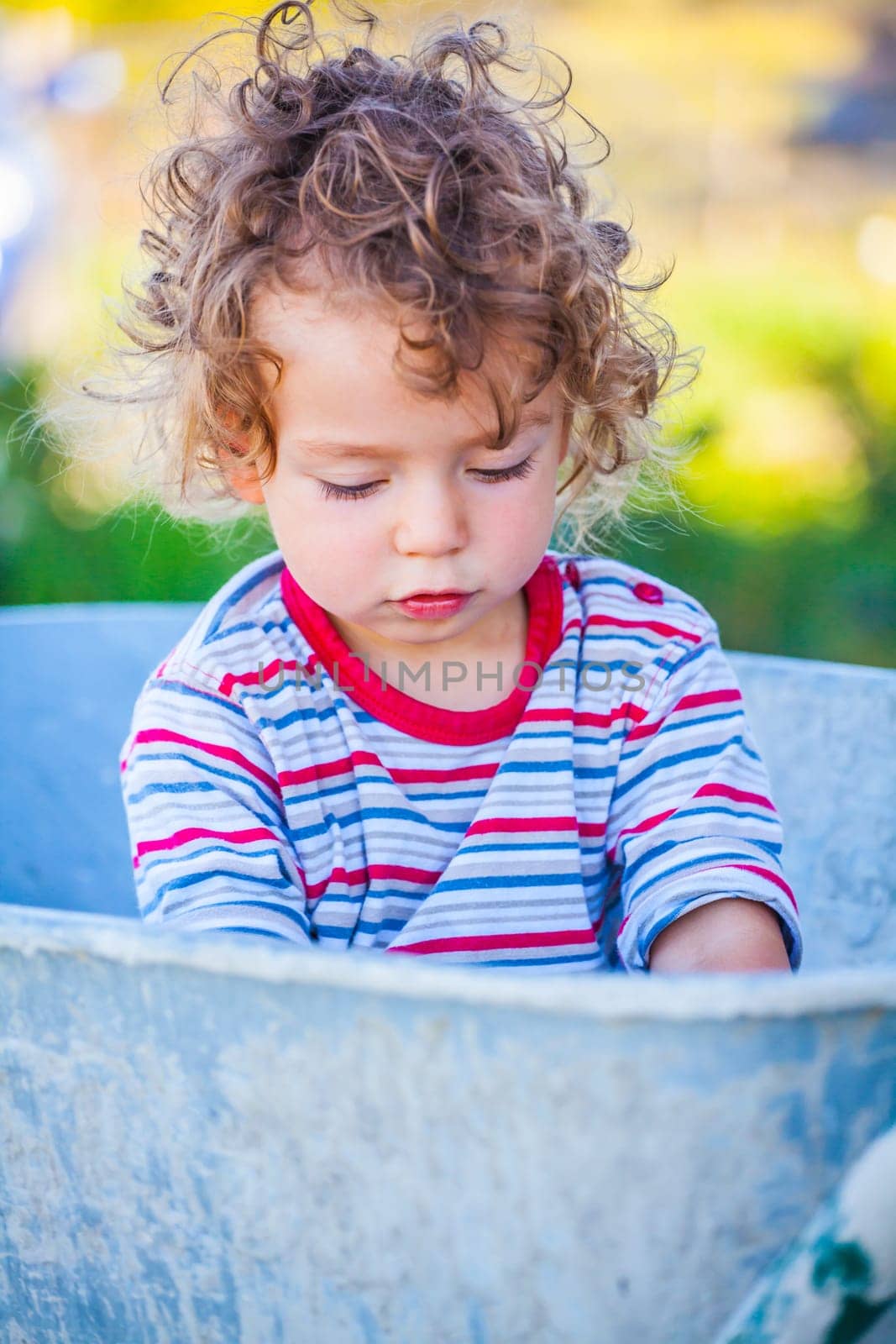 Portrait of 1 year old baby boy playing with a wheel barrow.