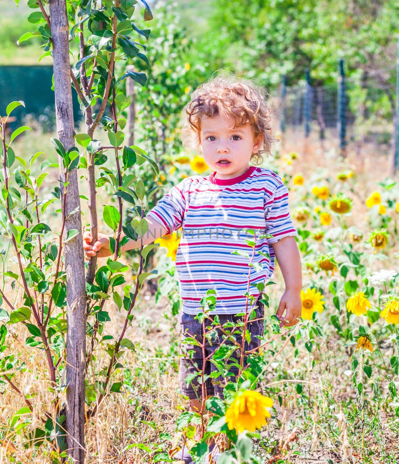 Portrait of 1 year old baby boy exploring the surroundings of his yard.