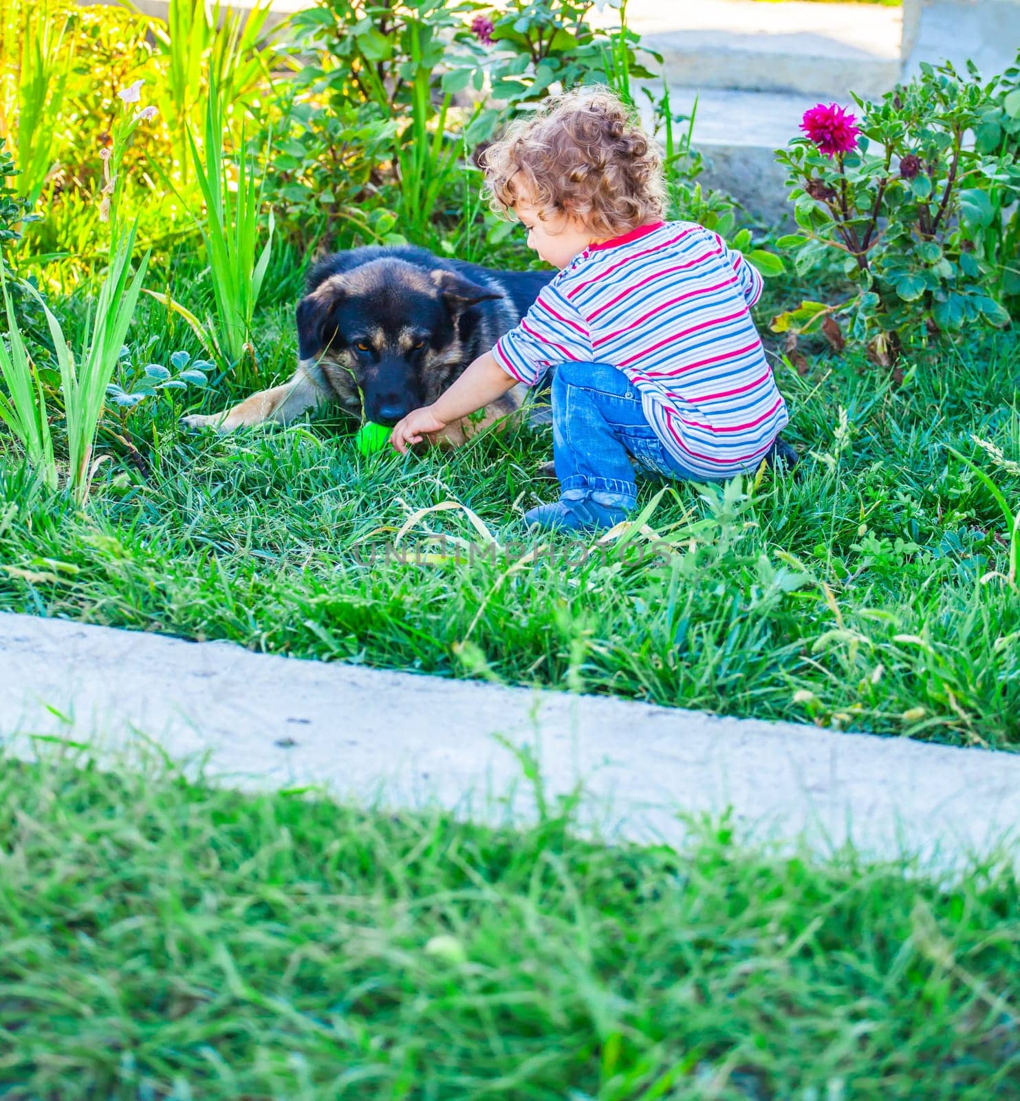 Portrait of 1 year old baby boy playing with his dog friend.