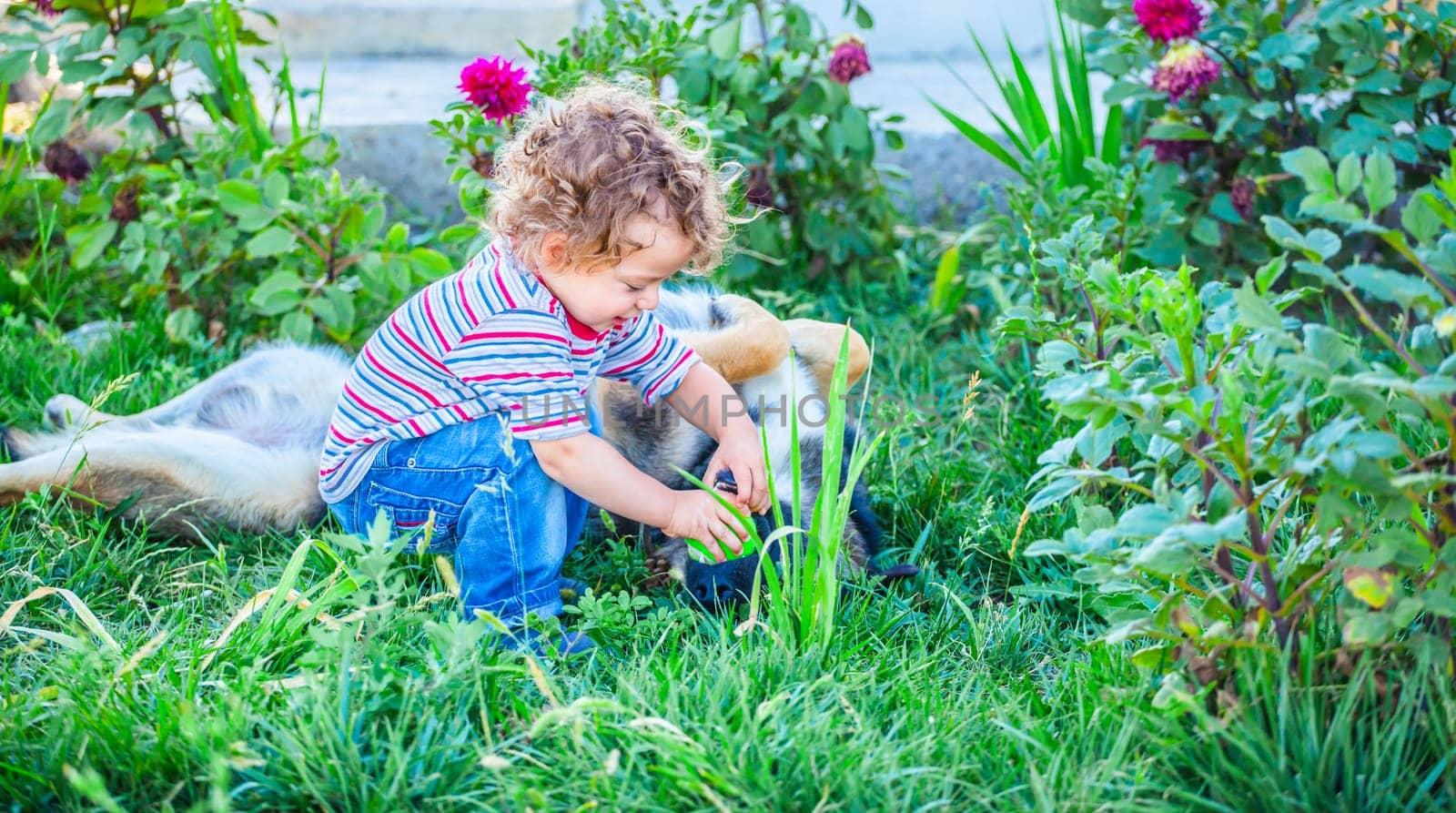 Portrait of 1 year old baby boy playing with his dog friend.