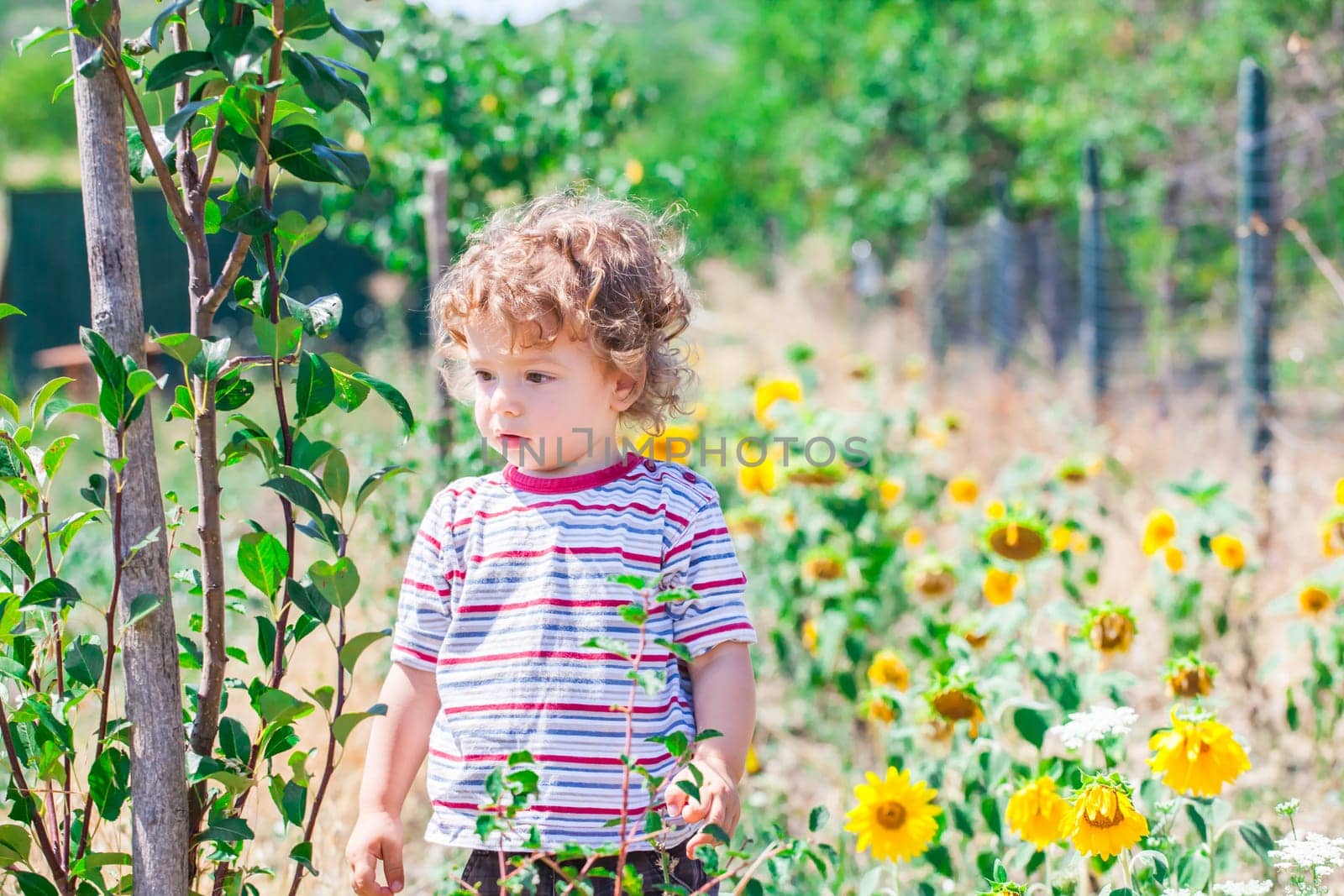 Portrait of 1 year old baby boy exploring the surroundings of his yard.