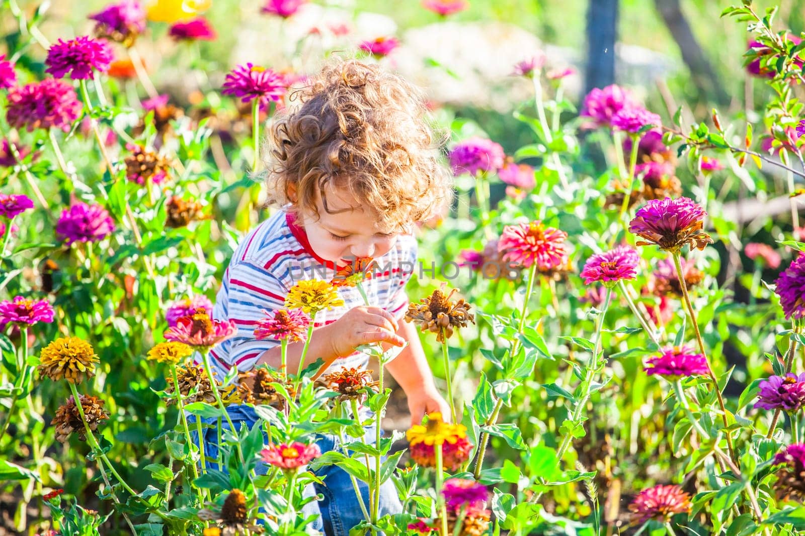 Portrait of 1 year old baby boy admiring the flowers in the garden on a sunny afternoon.