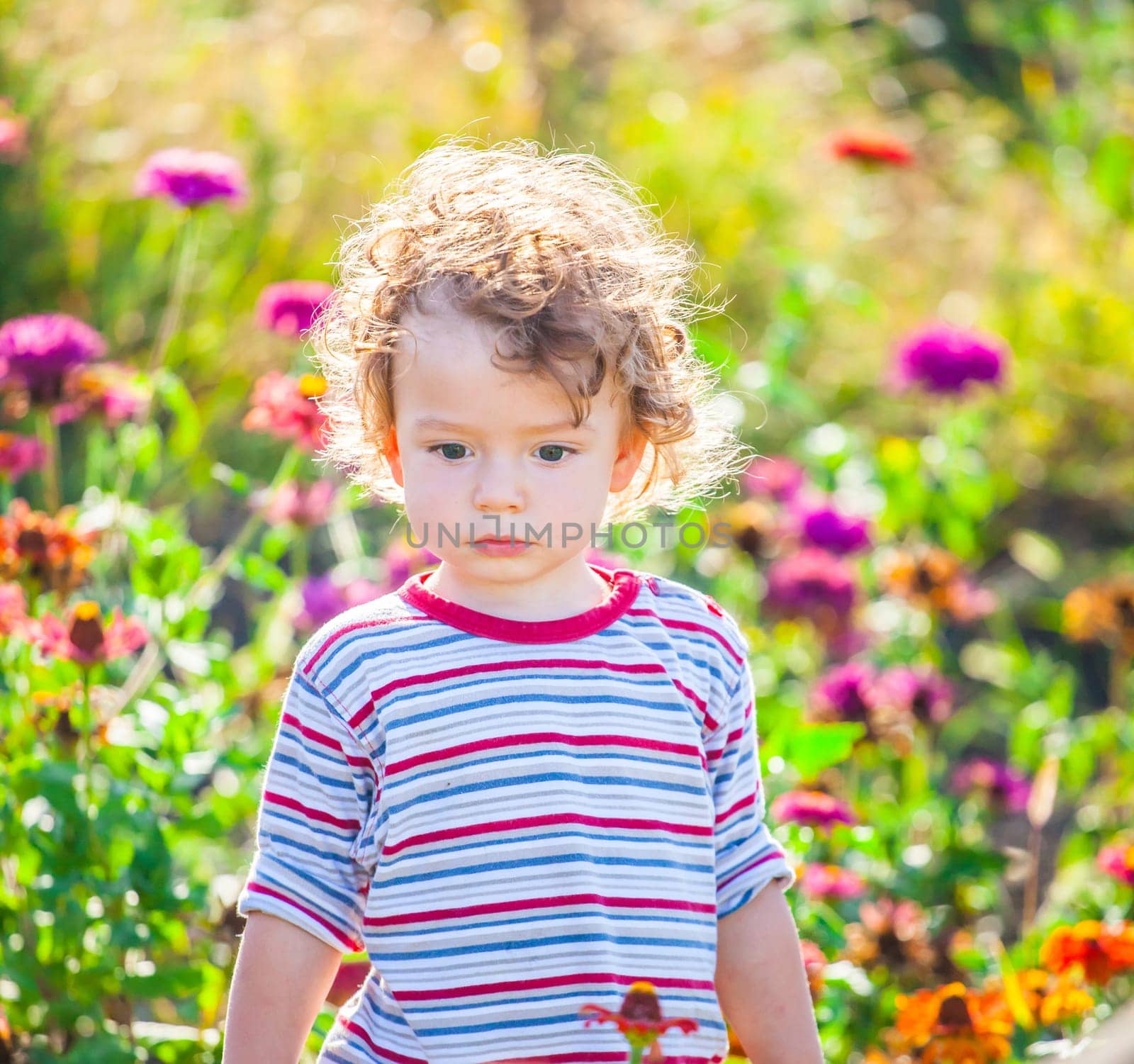 Portrait of 1 year old baby boy admiring the flowers in the garden on a sunny afternoon.