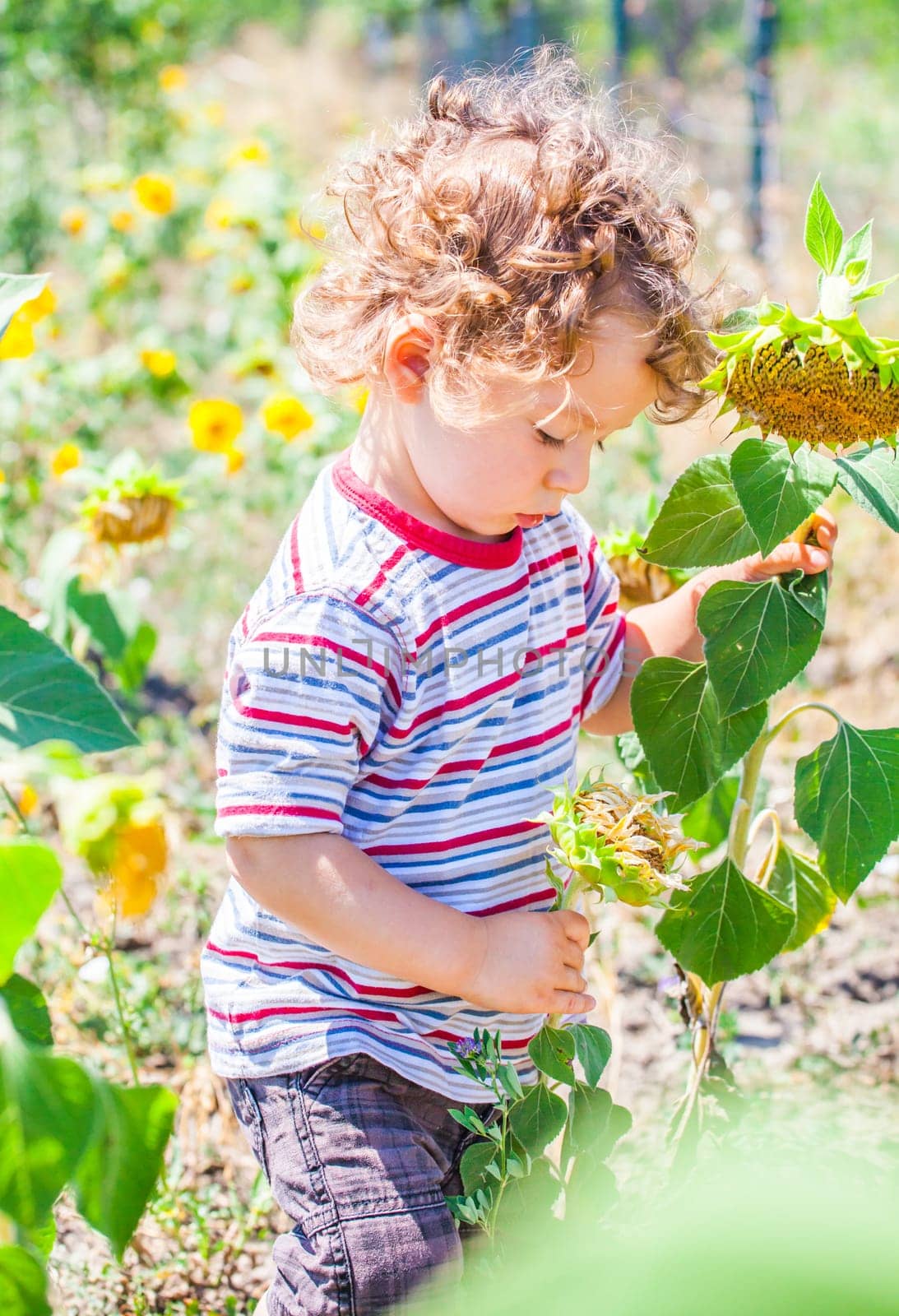 Portrait of 1 year old baby boy exploring the surroundings of his yard.