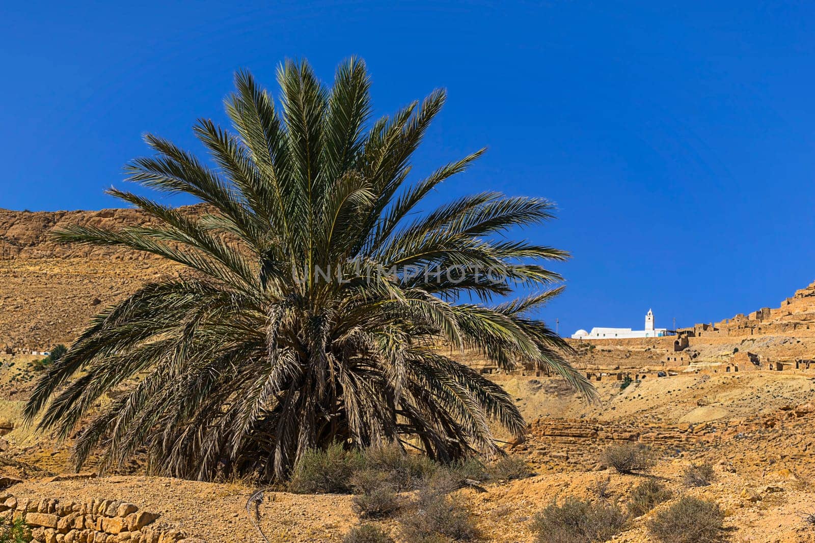 in the distance the JemaaKadima Mosque
