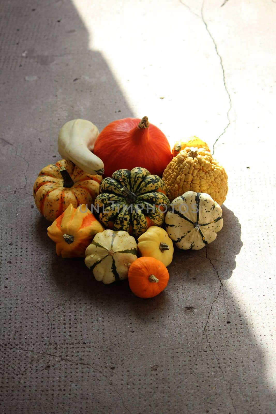 Pumpkin