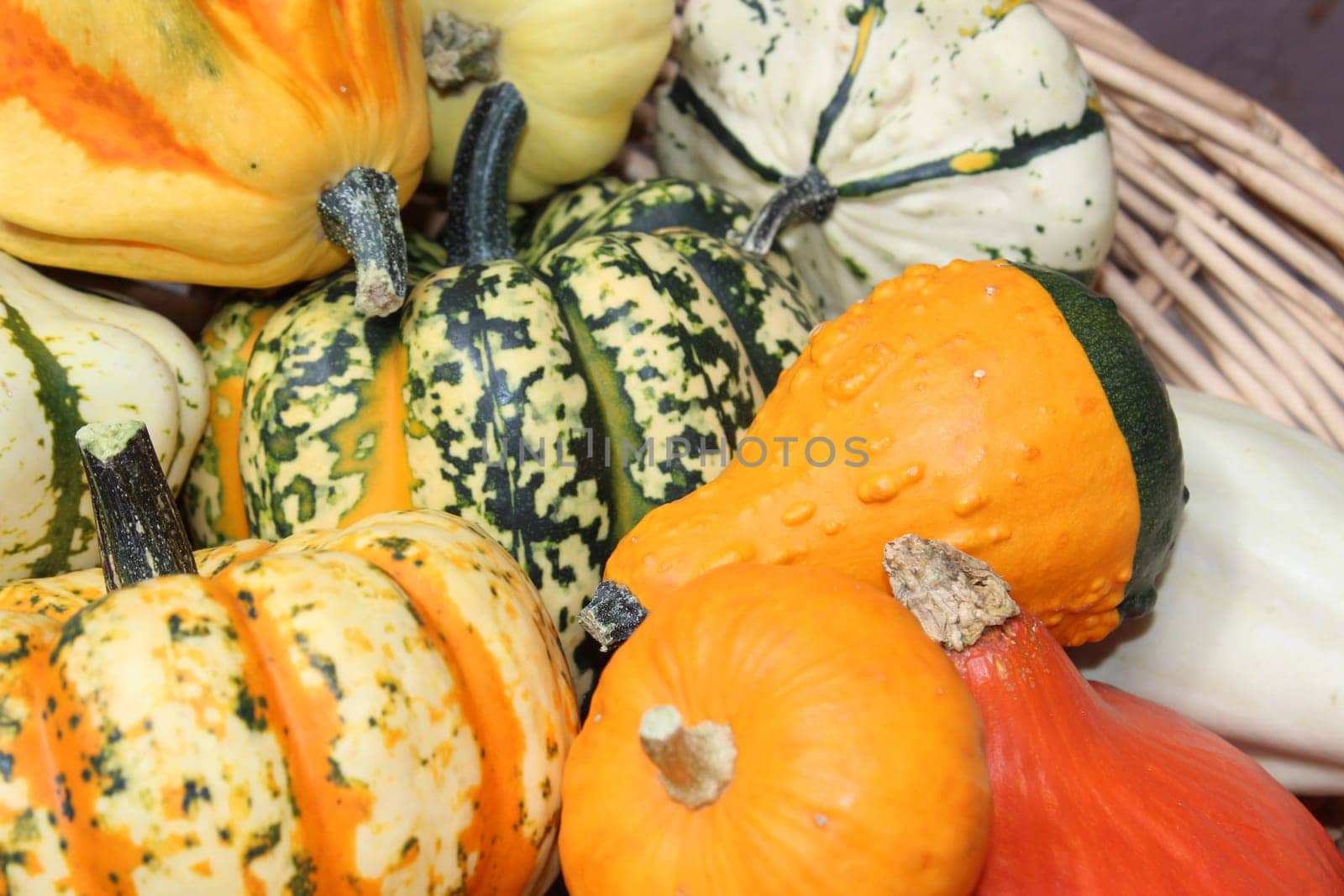 Pumpkin