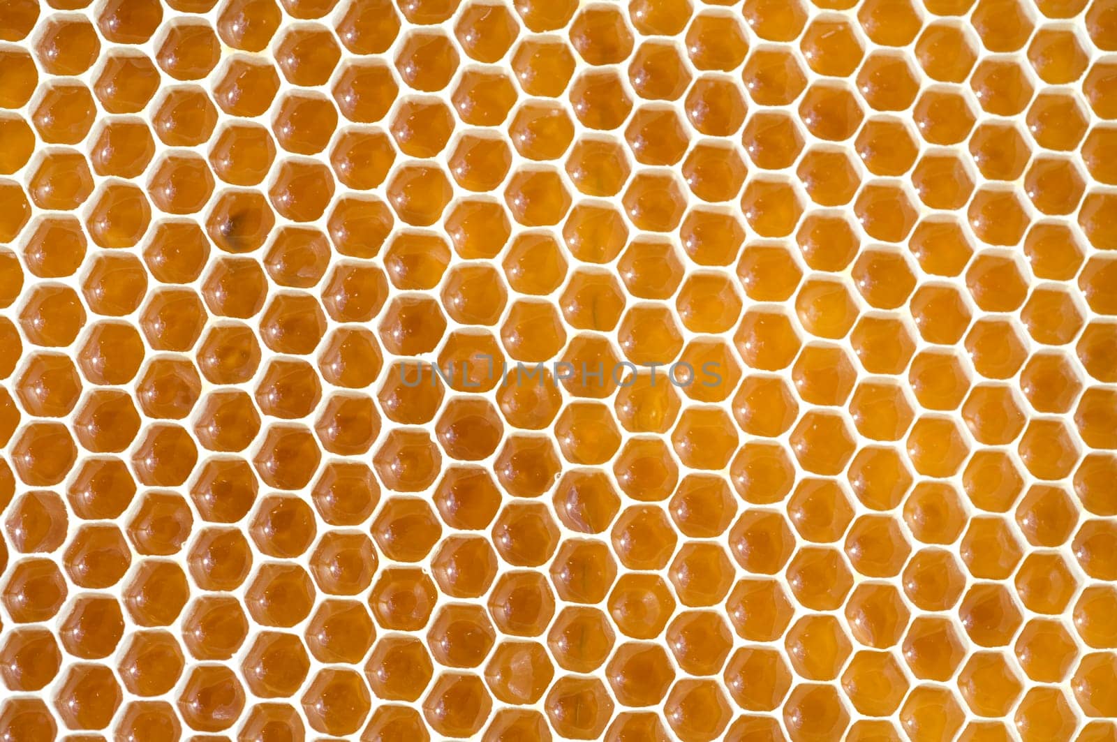 Honigwaben, waben, Bienenwachs, wachs, Bienenstock