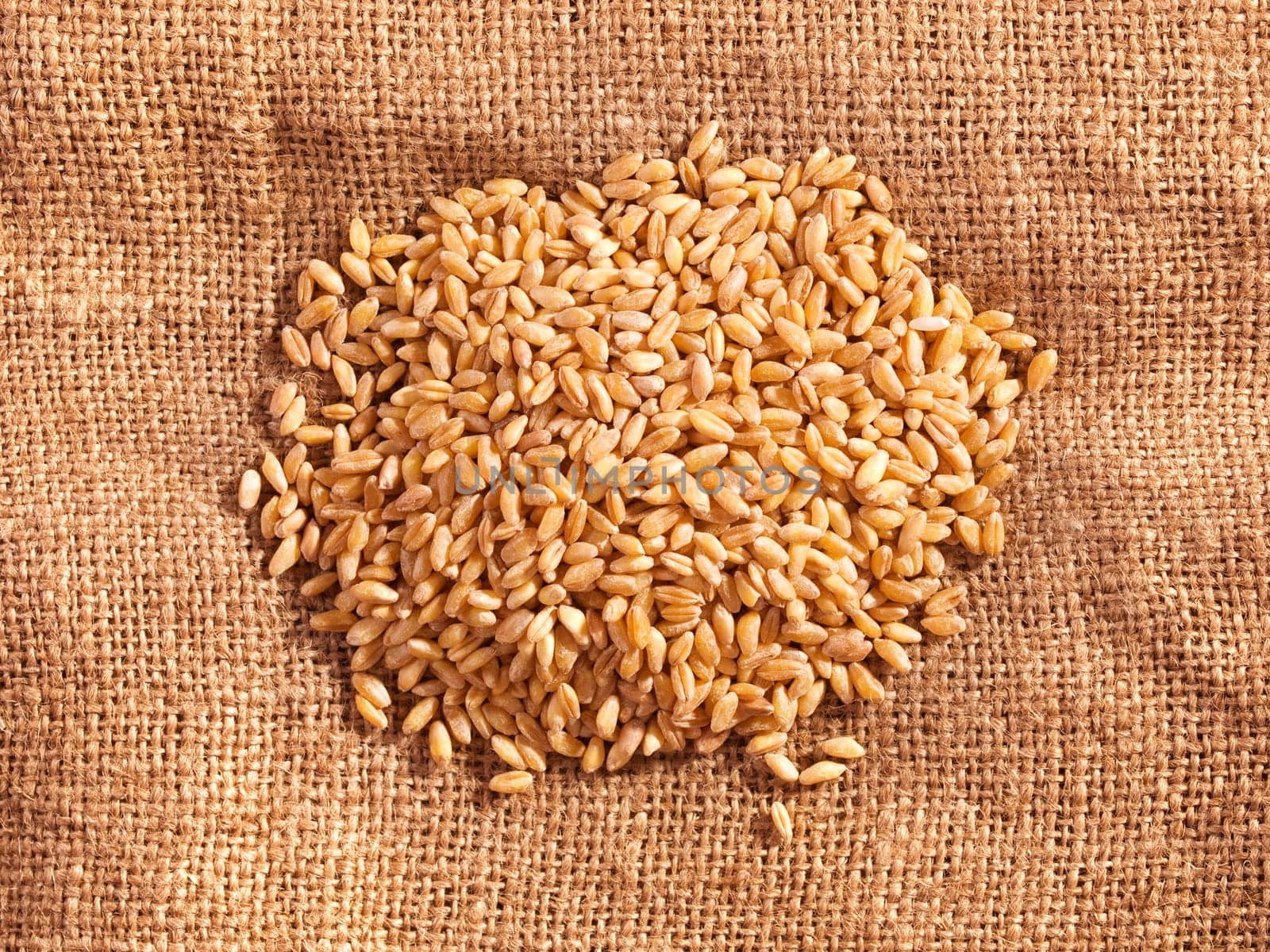 Wheat