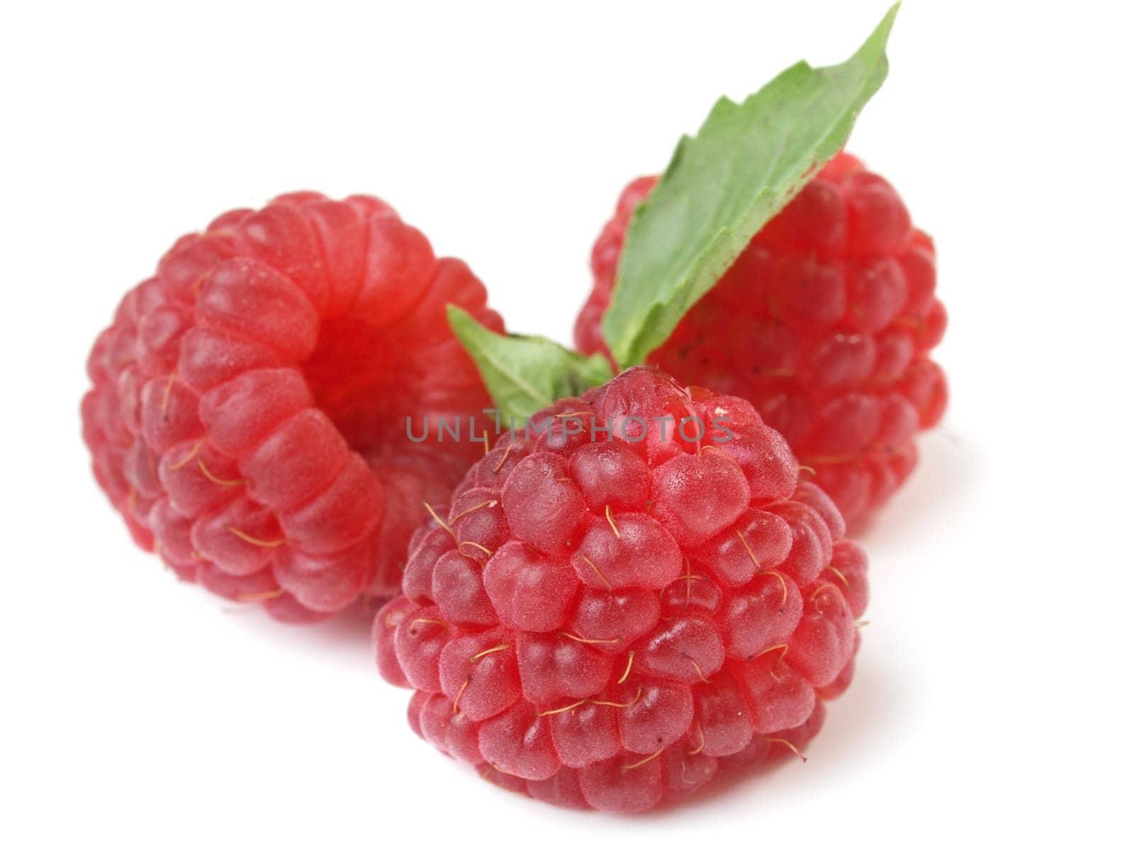 Raspberries