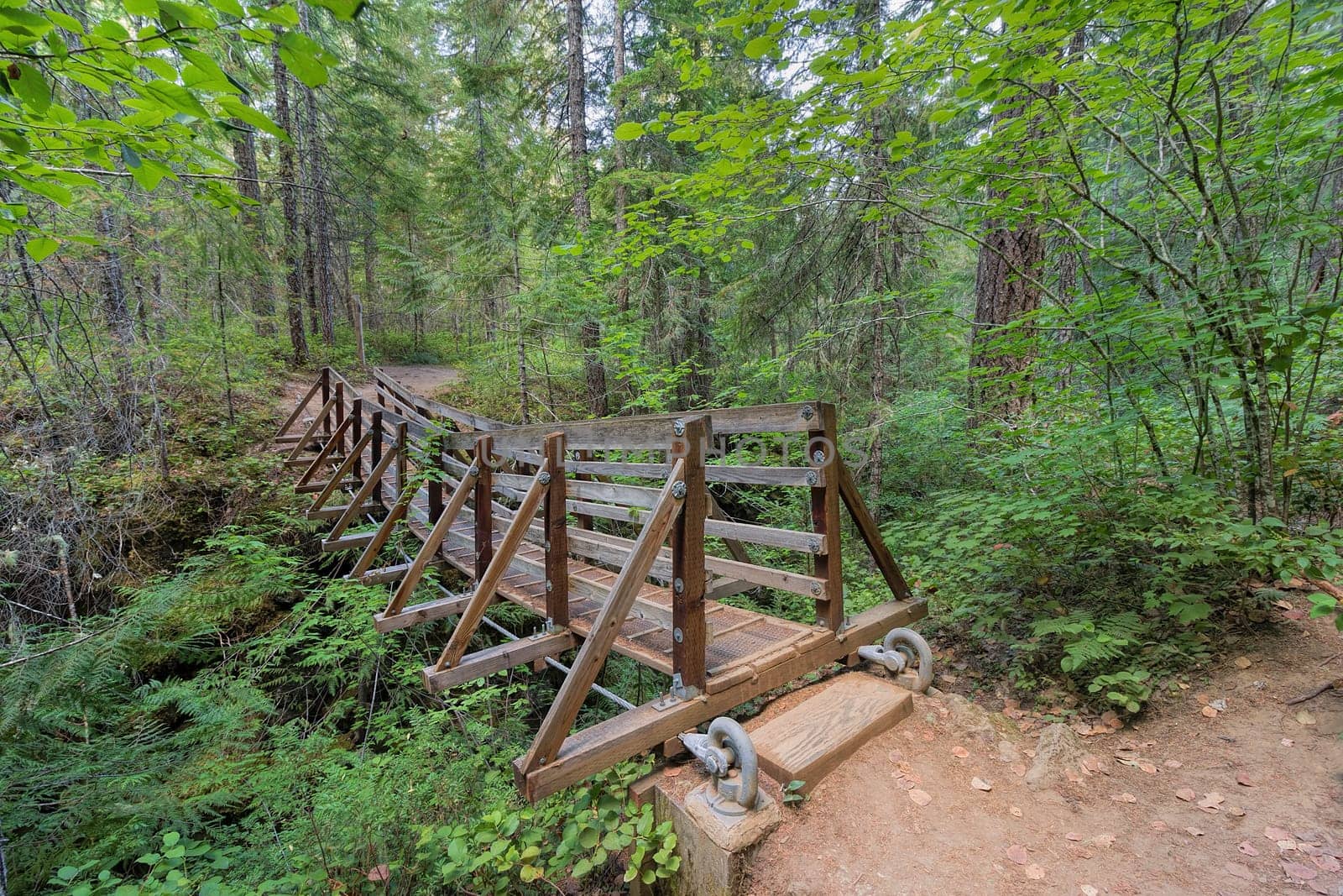 Suspension Bridge Over Falls Creek in Gifford Pinchot National Forest Hiking Trail in Washington State