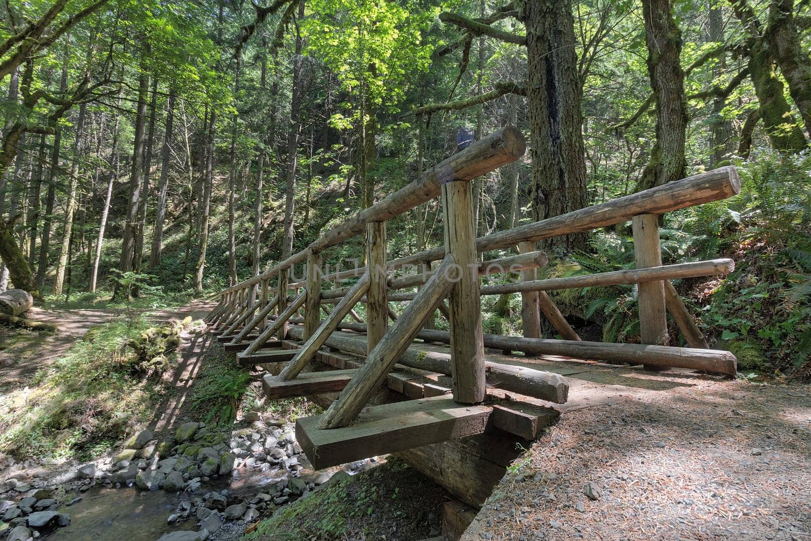 Wood Log Bridge Over Gorton Creek Hiking Trail in Columbia River Gorge Oregon