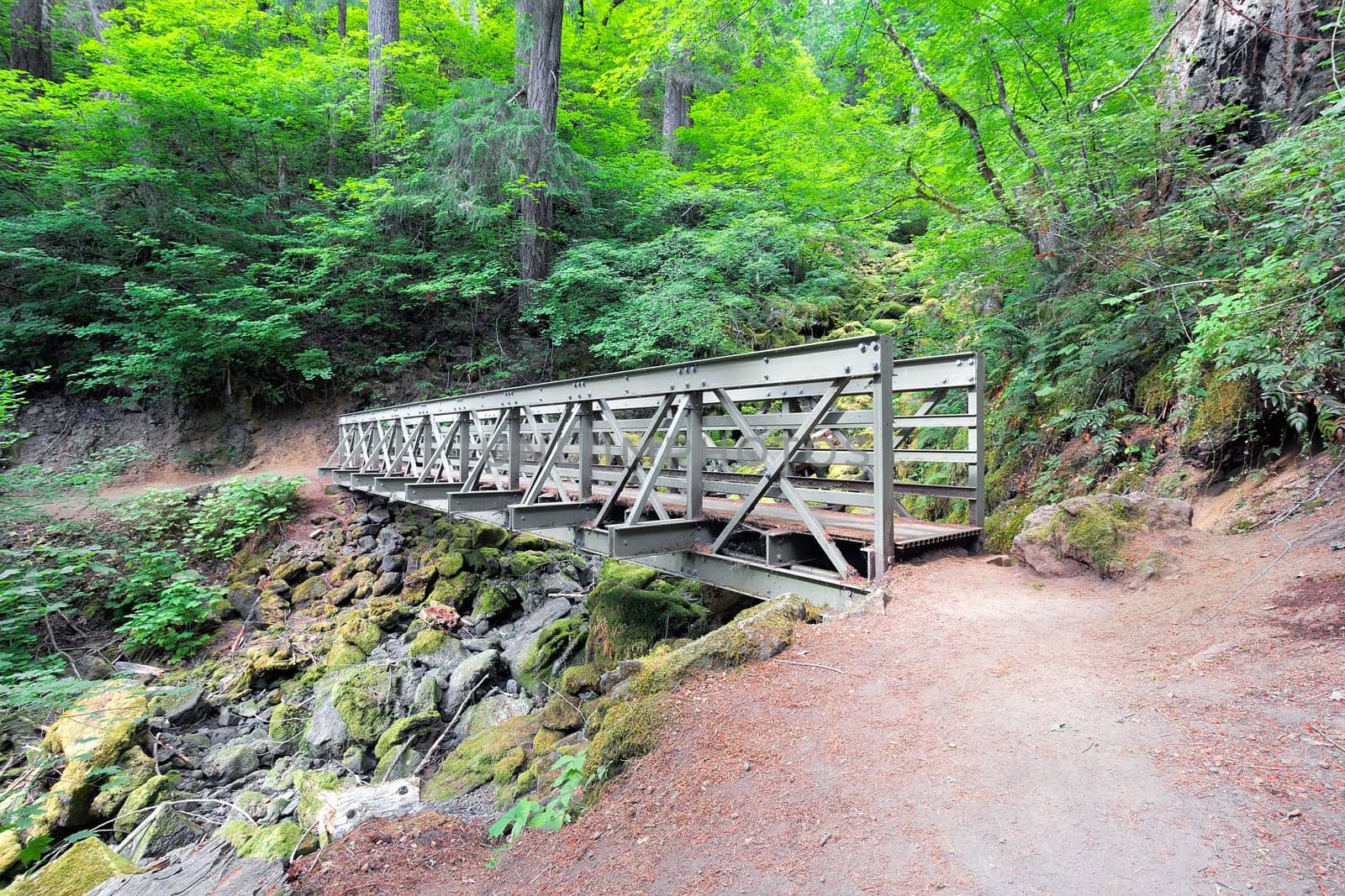 Pedestrian Bridge at Falls Creek Hiking Trail in Gifford Pinchot National Forest Washington
