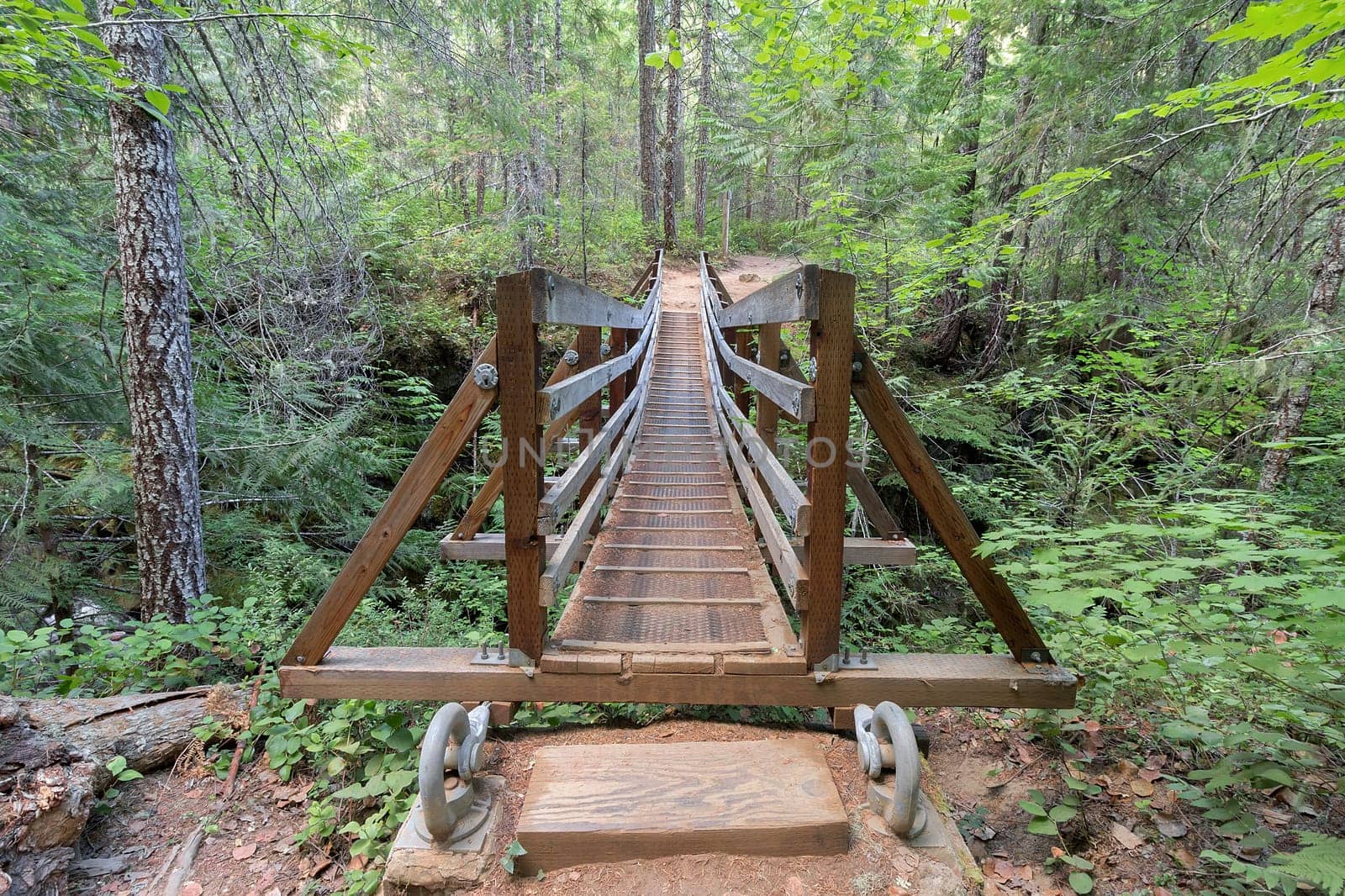 Suspension Bridge Over Falls Creek in Gifford Pinchot National Forest Hiking Trail in Washington State Front View