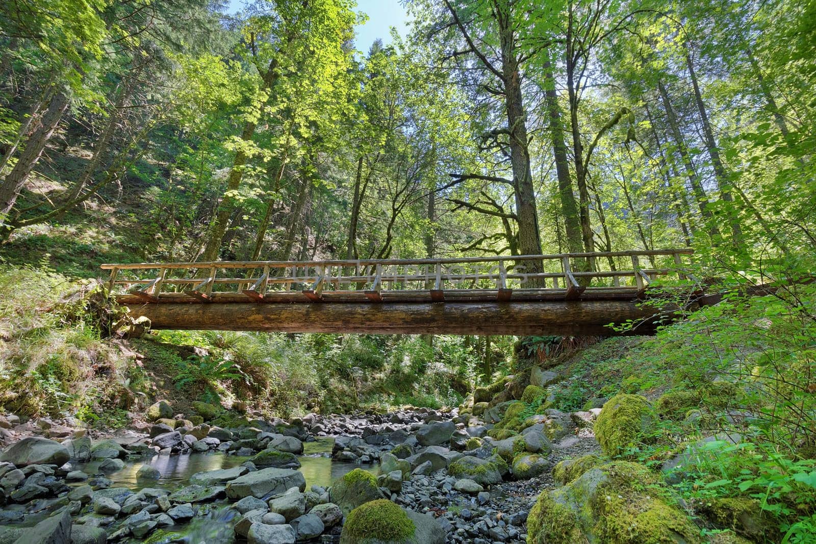 Wood Log Bridge Structure Over Gorton Creek Hiking Trail in Columbia River Gorge Oregon