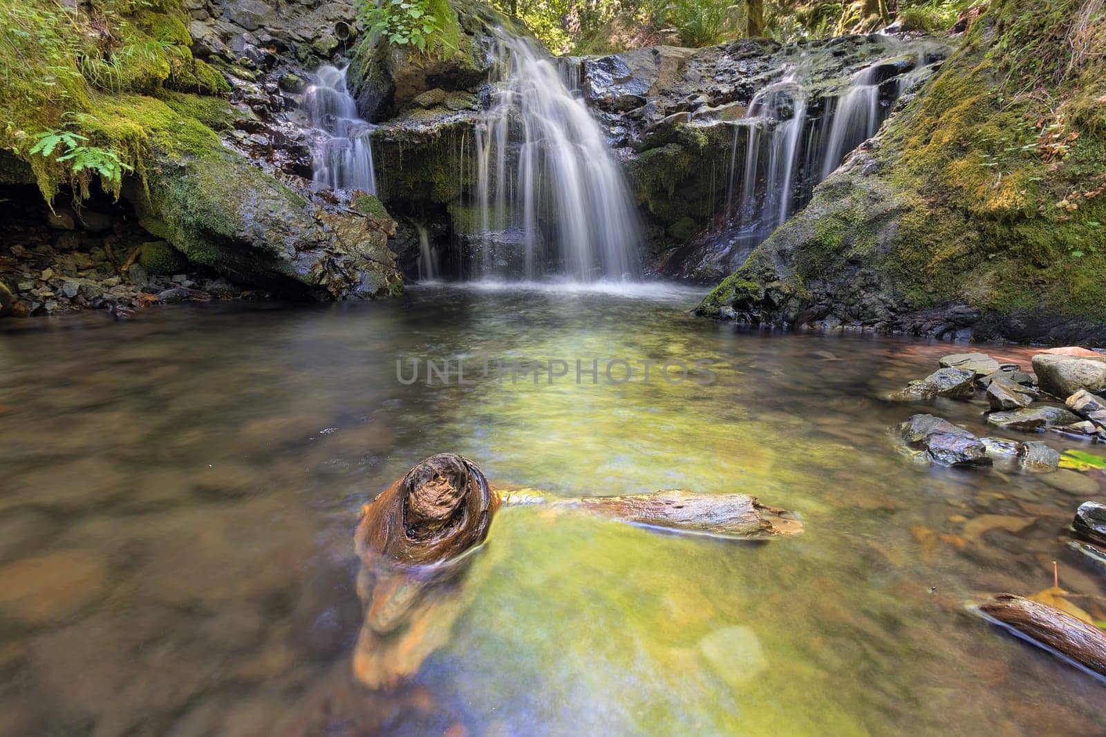 Emerald Falls with Driftwood along Gorton Creek in Columbia River Gorge National Scenic Area Oregon