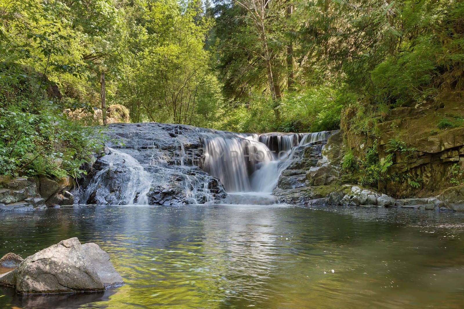 Cascading Waterfall at Aweet Creek Falls Trail Complex in Mapleton Oregon