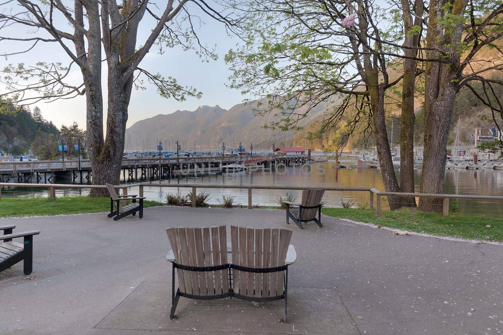 Park Bench Chairs at Horseshoe Bay British Columbia during Sunset