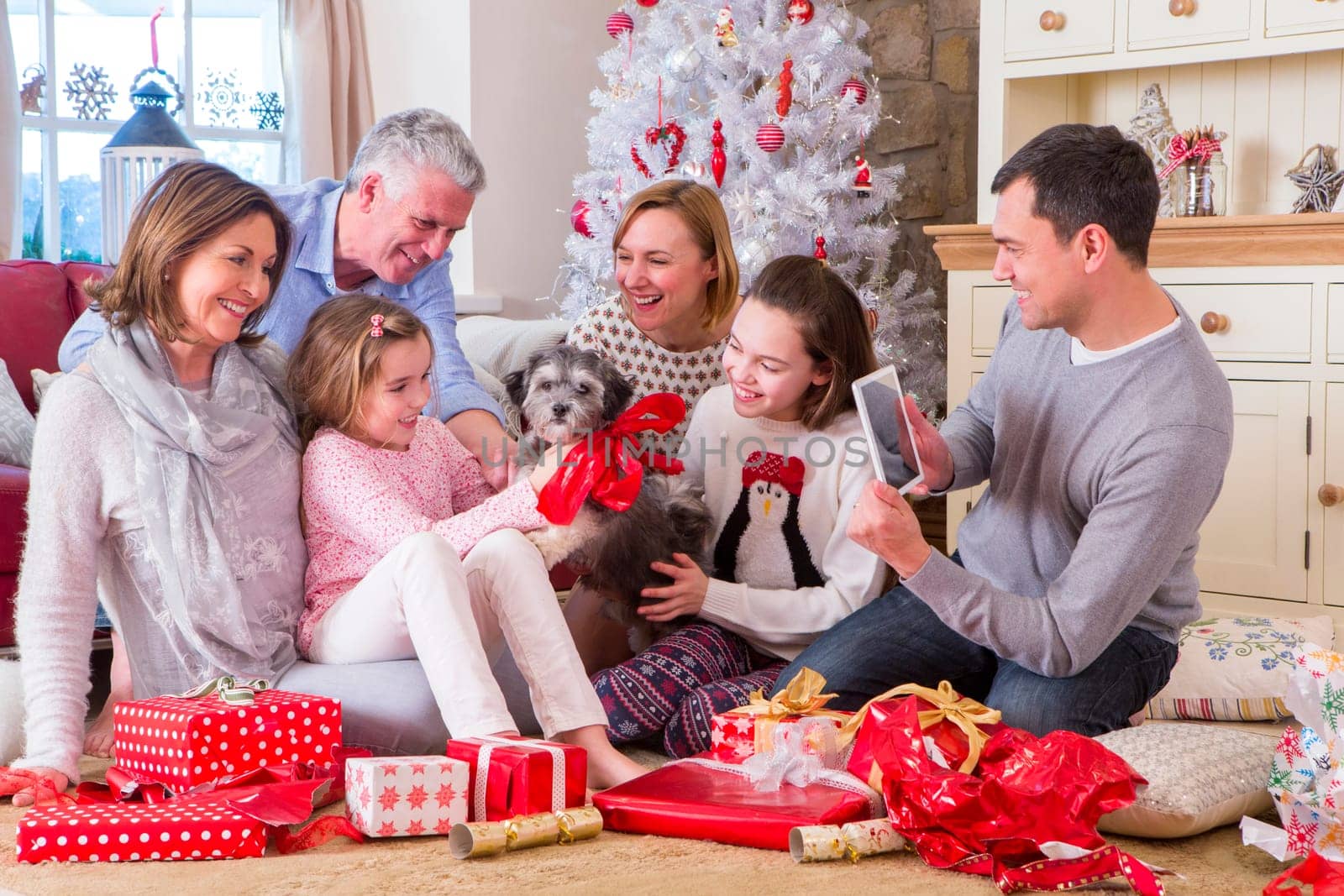 Dad takes a picture of Three Generation Family at Christmas Time. They all look excited about their new Puppy.