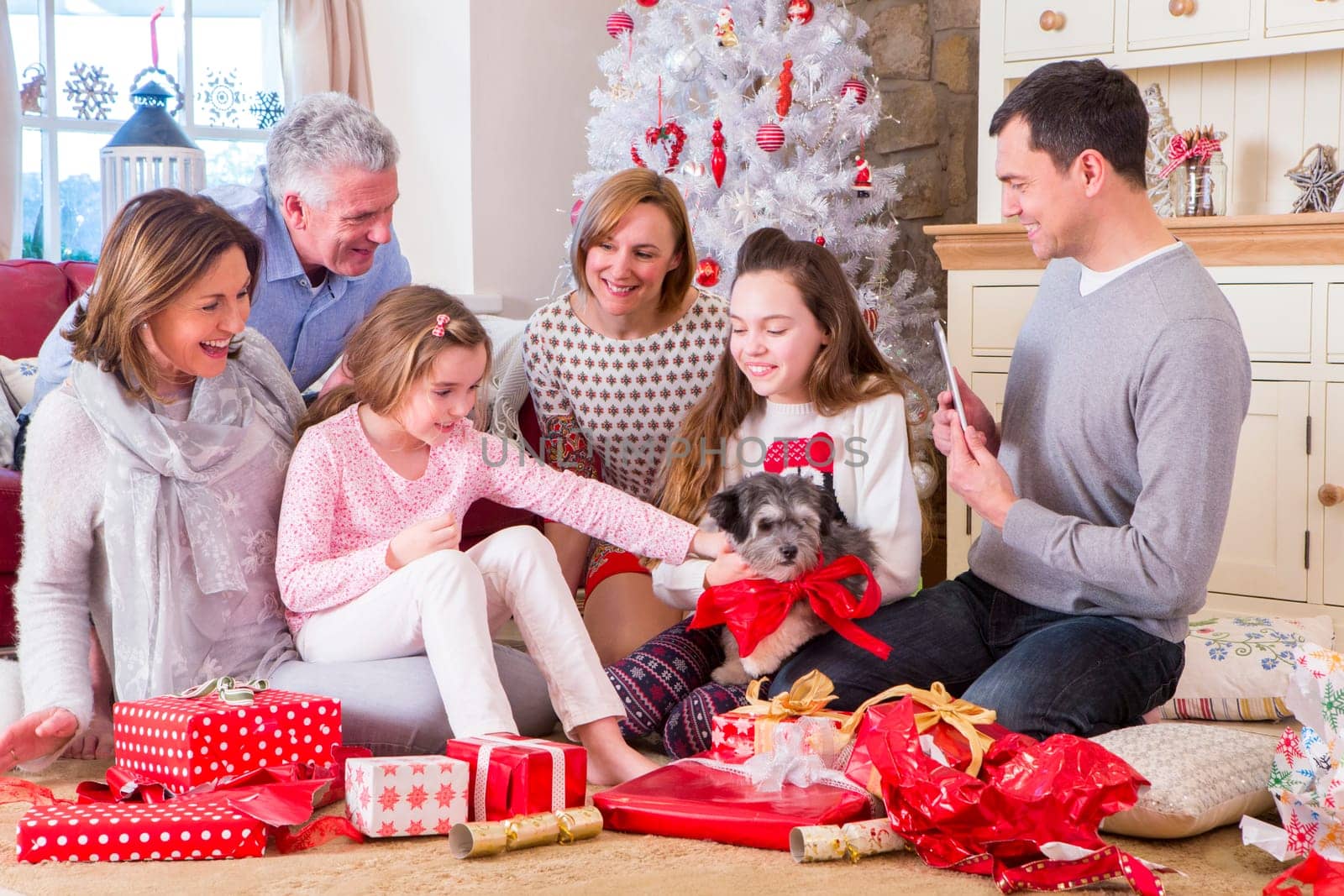 Dad takes picture of Three Generation Family at Christmas time. They are all smiling and looking at the new puppy.
