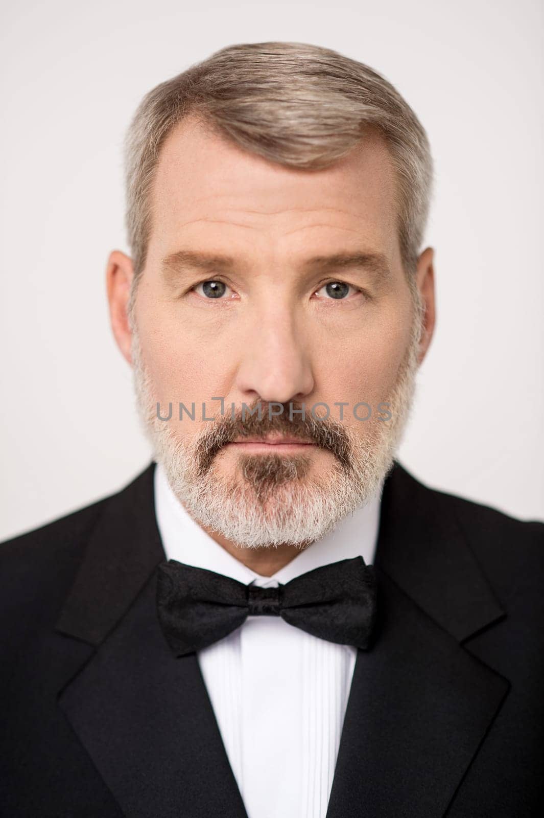 Portrait of a senior businessman posing to camera