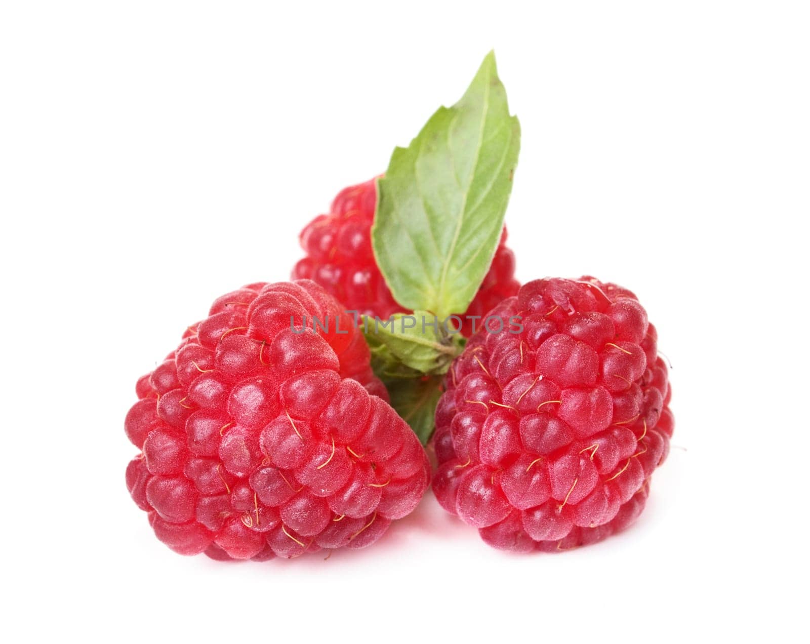 Raspberries on white