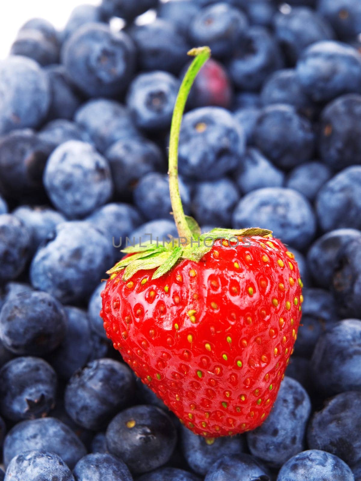 Strawberry on blueberries background