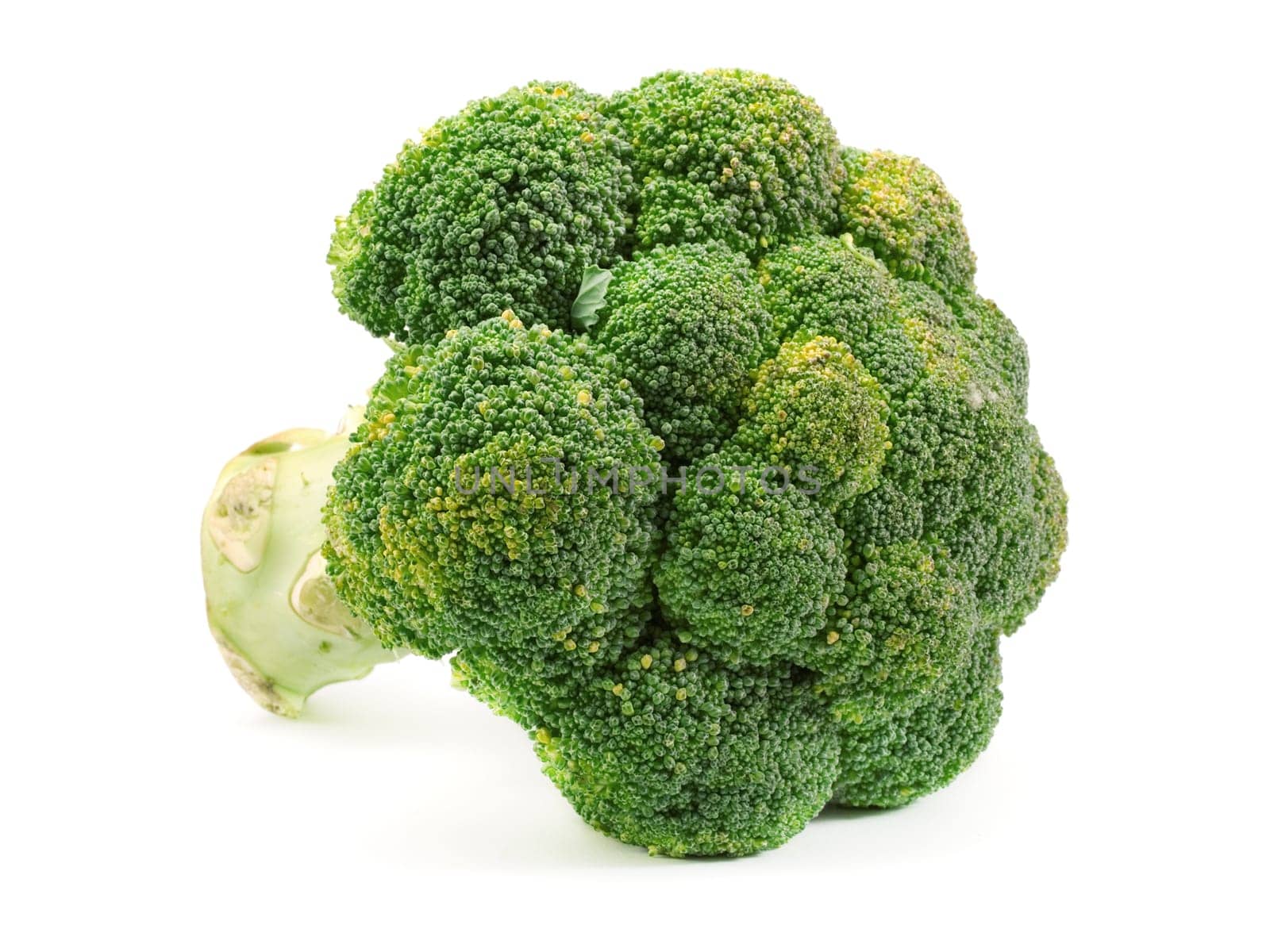 Broccoli