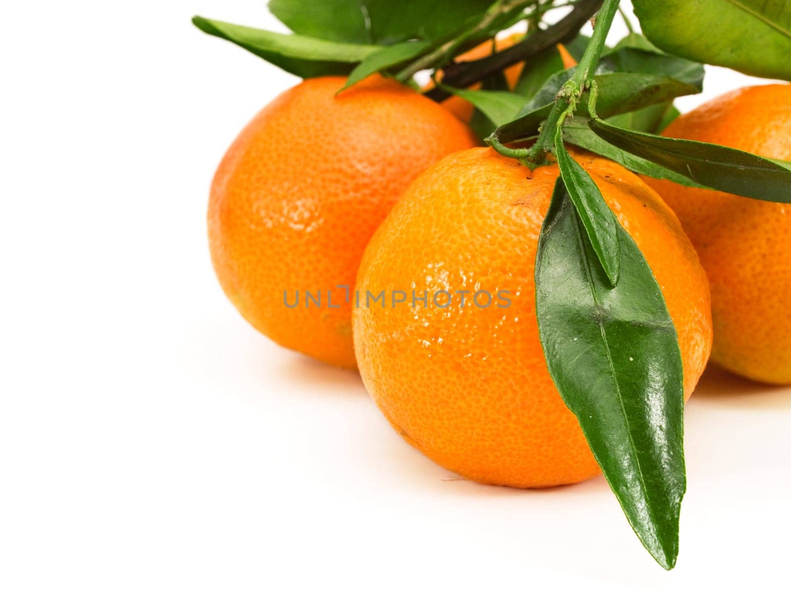 Tangerines