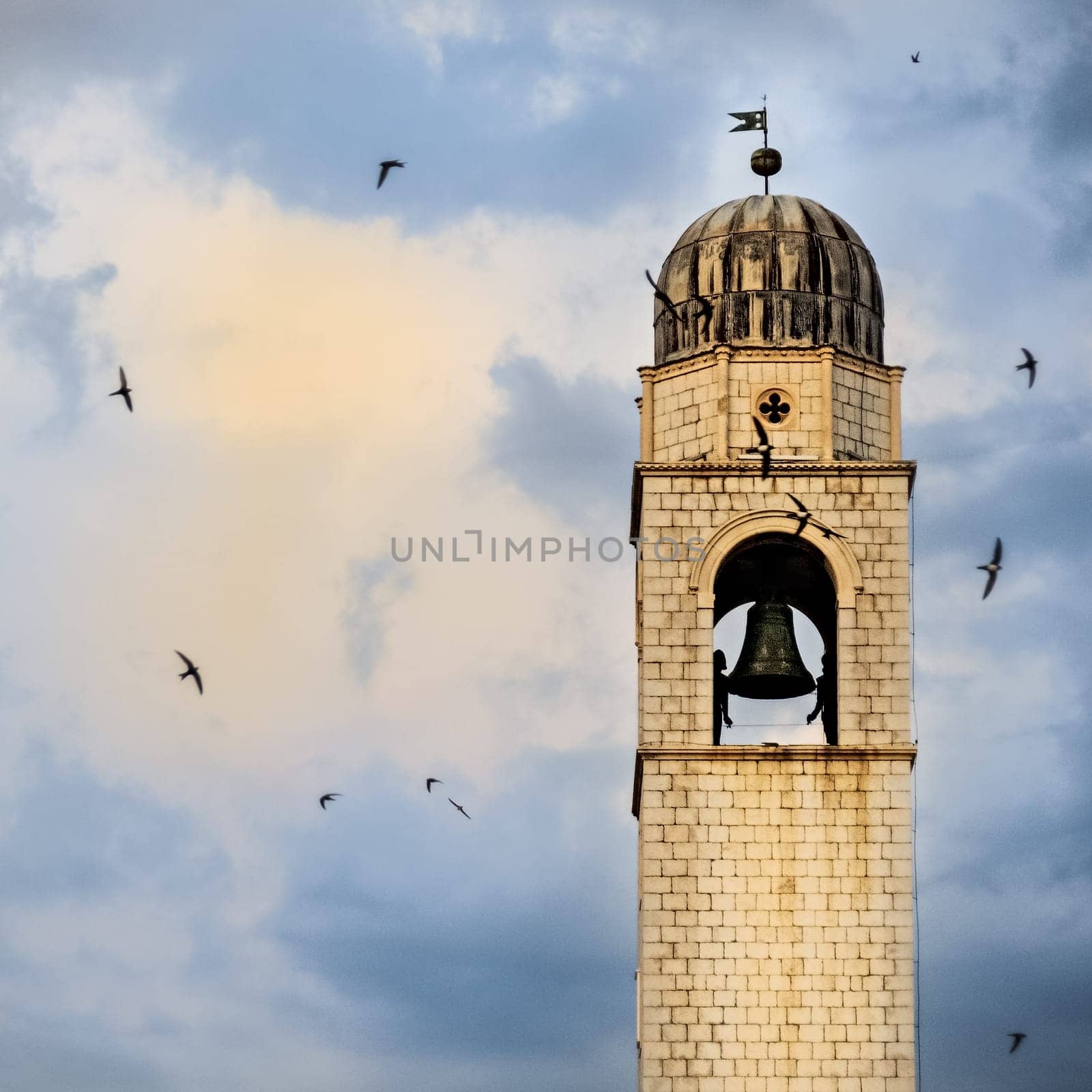 Swallows circle the clock tower in Dubrovnik