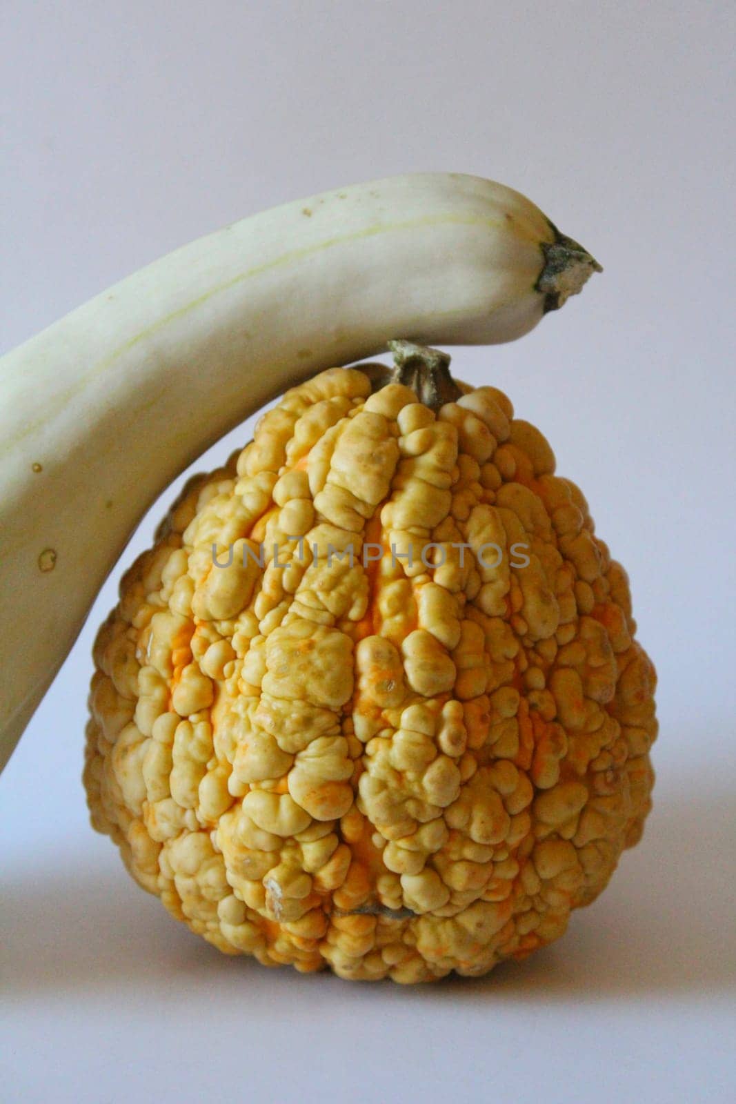 Pumpkins