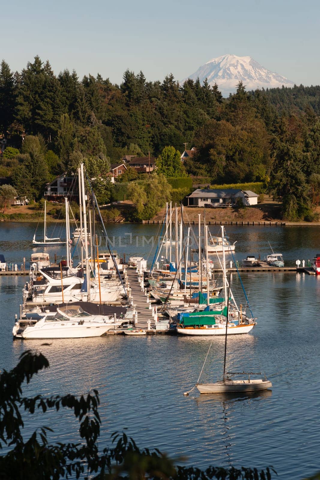 Sail and Power Boats wait for the chance to move under the watchful eye of Mount Rainier