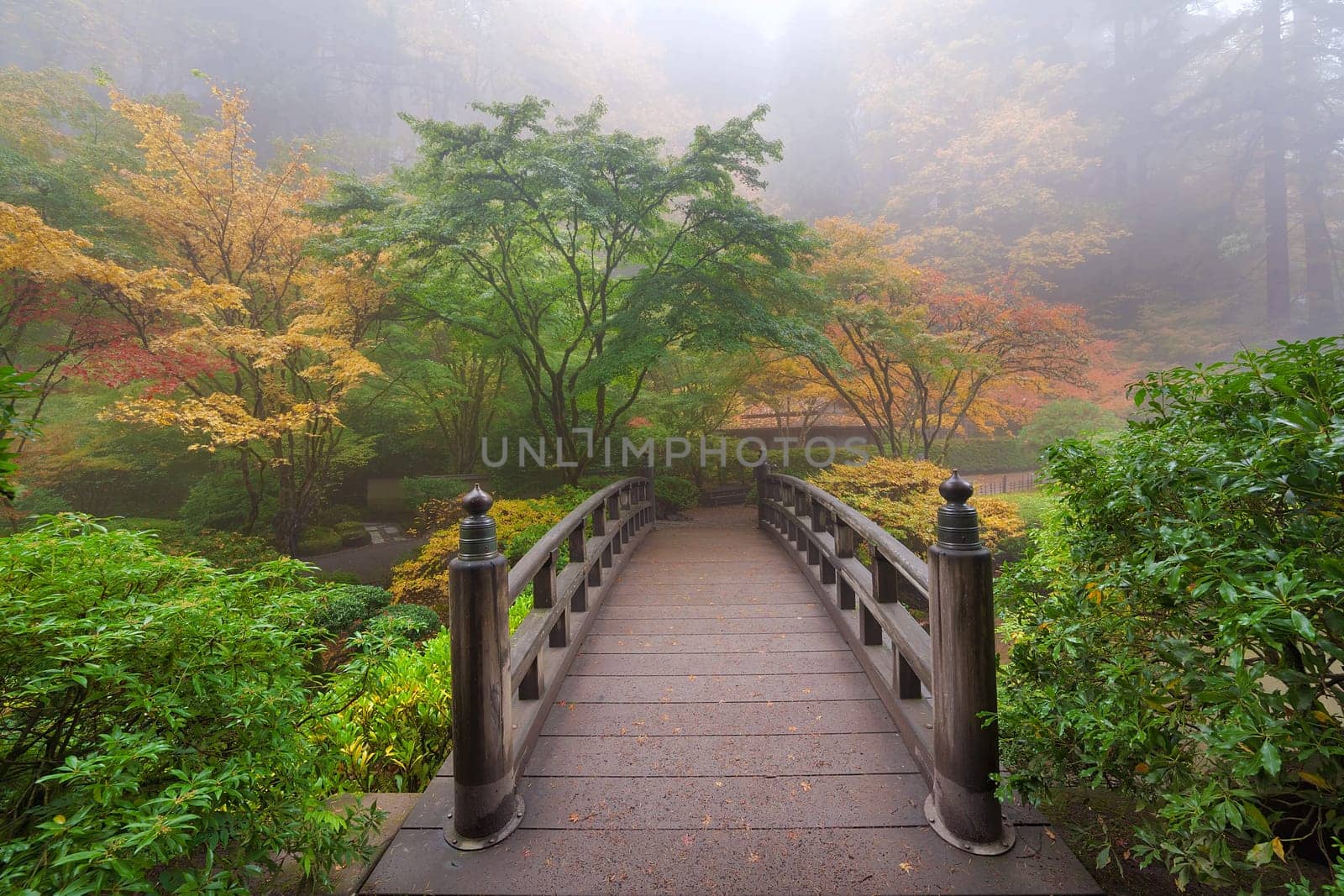 Moon Bridge One Foggy Morning in Autumn at Portland Japanese Garden