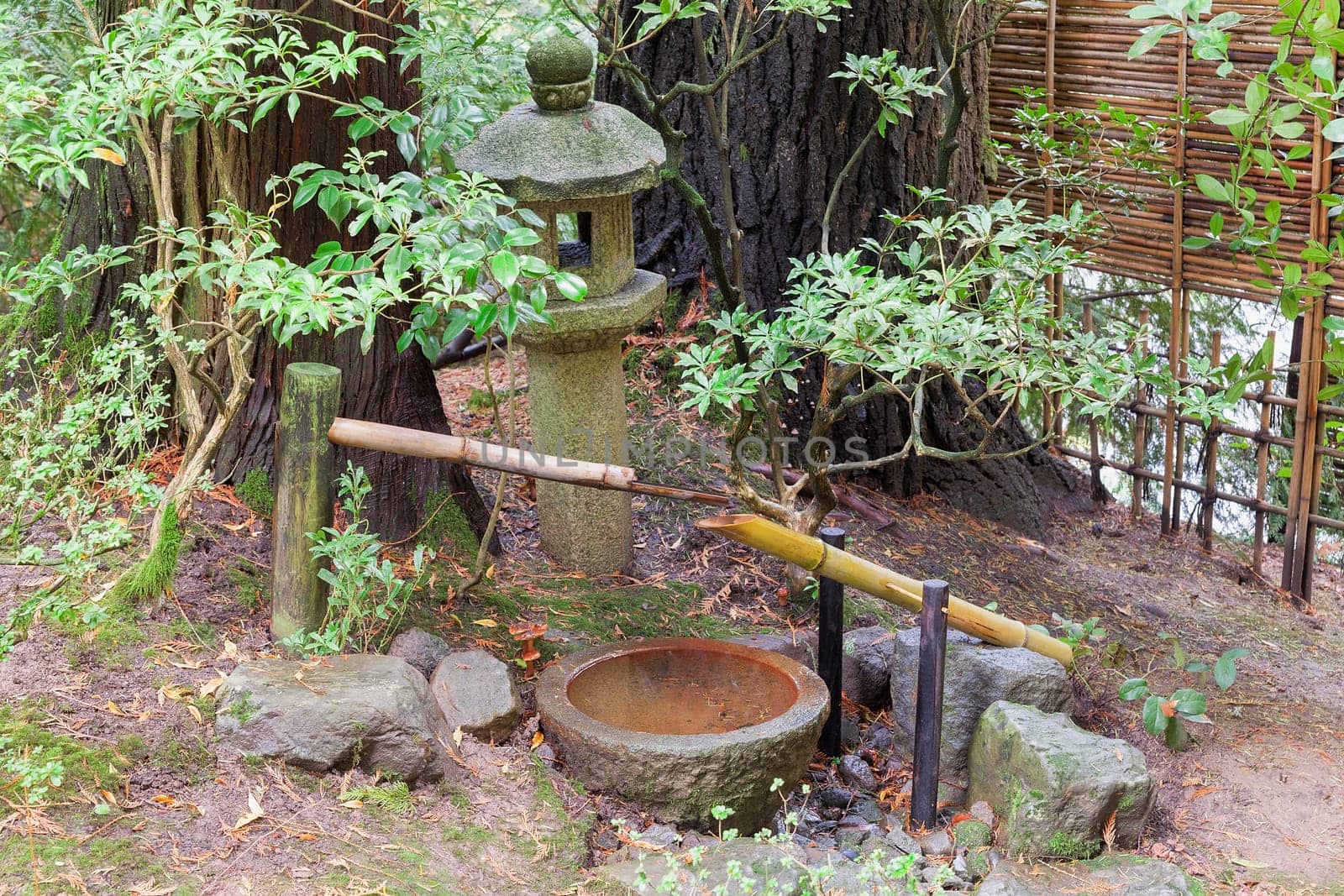 Tsukubai Water Fountain with Stone Basin and Bamboo Spigot and Stone Lantern at Portland Japanese Garden