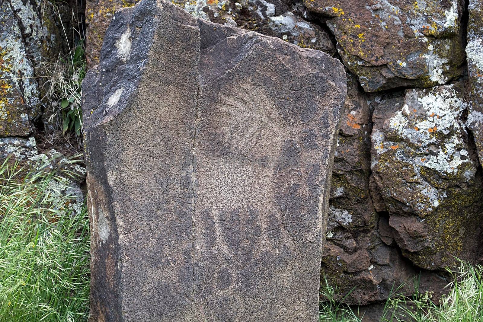 Native Anerican Indians Antelope Deer Animals Petrogylph on Rock Artwork at Horsethief Lake Washington