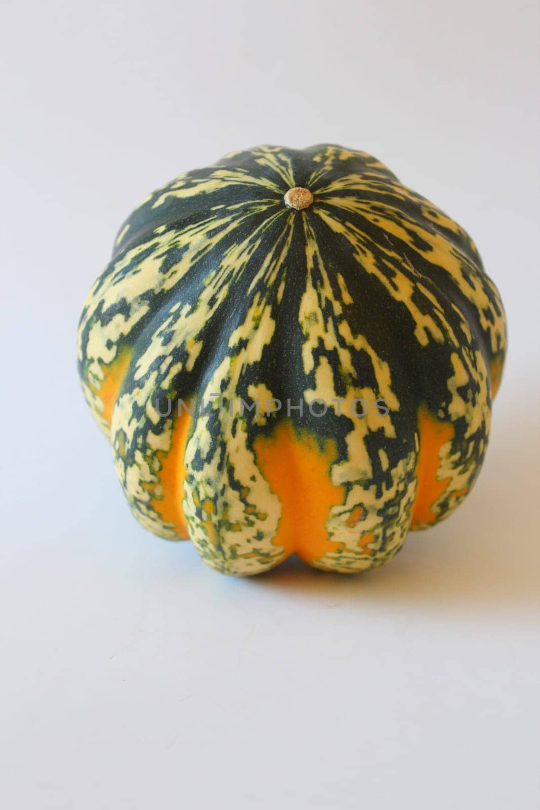 Pumpkin