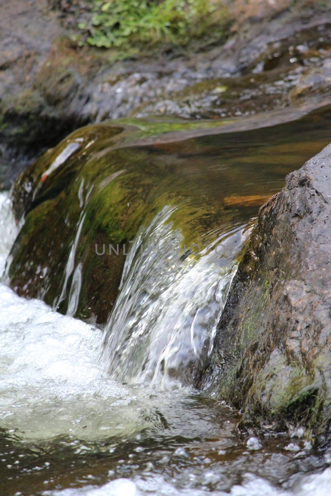 Stream